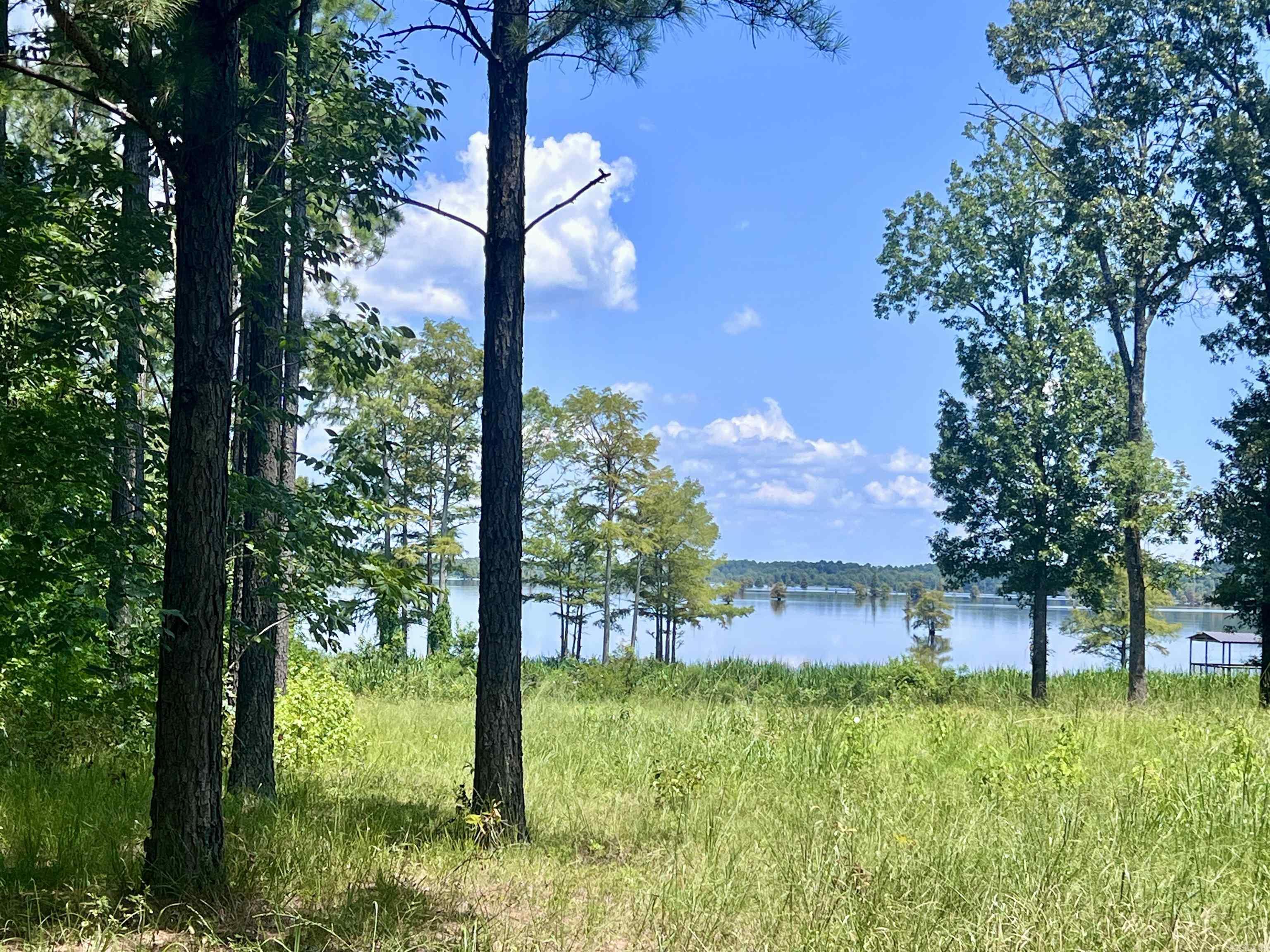 Beautiful LAKE FRONT LOT on Arkansas's Lake Erling. This property is in a gated community and sits just north of the AR state line near Springhill, LA. There is underground electric and sewer tap with one time fee of $500.00. There are NO MFGs allowed. LOT 3 is also available for purchase. Feel free to drive out and take a look at all the beauty this property has to offer. Have questions, give me a call at 501.266.3738.