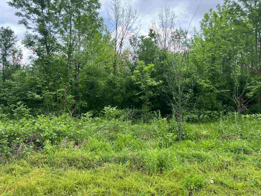 This is a wonderful piece of property with potential as property is currently planted in the CRP program and produces income. Located in the city limits of Grady and having frontage on Hwy 65 and Hwy 11, the opportunities are endless.  This property would make an excellent location for a truck stop or convenience store.