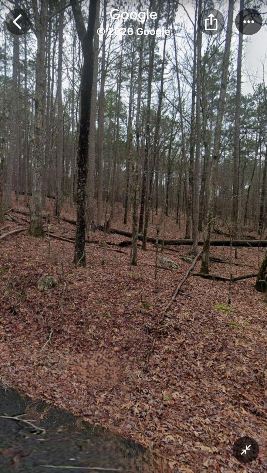 Welcome to Canete Lane your very own 1.13 Acre Lot on the West Side of Beautiful Hot Springs Village! If you are looking for Privacy, Nature, and Awesome Views this Lot is it... Only 3 minutes away from the West Gate making it convenient for shopping. The nation's largest gated community offers 9 beautiful golf courses, 11 recreational lakes with over 30 miles of trails for walking and hiking! New buyers to the Village have a $300.00 buy in fee payable to the POA at closing. Hot Springs Village does not allow Mobile Homes or any type of Livestock.  Picture provided by Google Maps and more to be added after repair of the entrance of Canete lane.