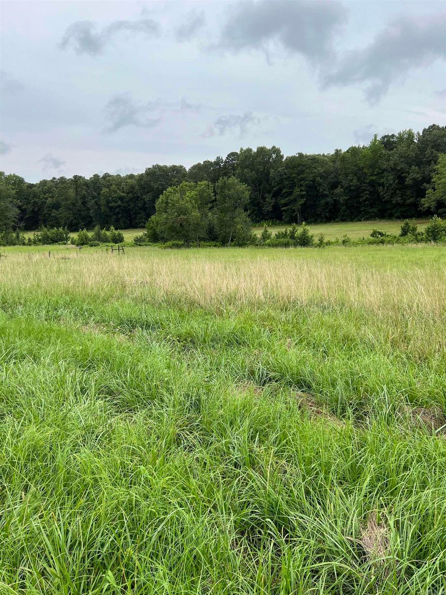 Rare Find and won't last long. This land is absolutely amazing. It is approximately +/- 18.00 acres of rolling ground, pastureland with timber and a creek. Perfect spot to build your forever home. Plenty of wildlife and hay at your fingertips! Agents Please see Remarks land is located near 441 Hwy 89 N Mayflower