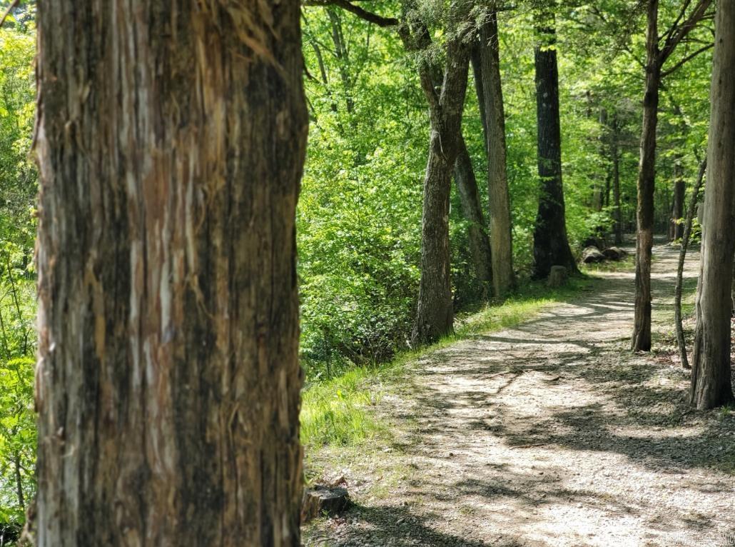 ZAMORA - Residential