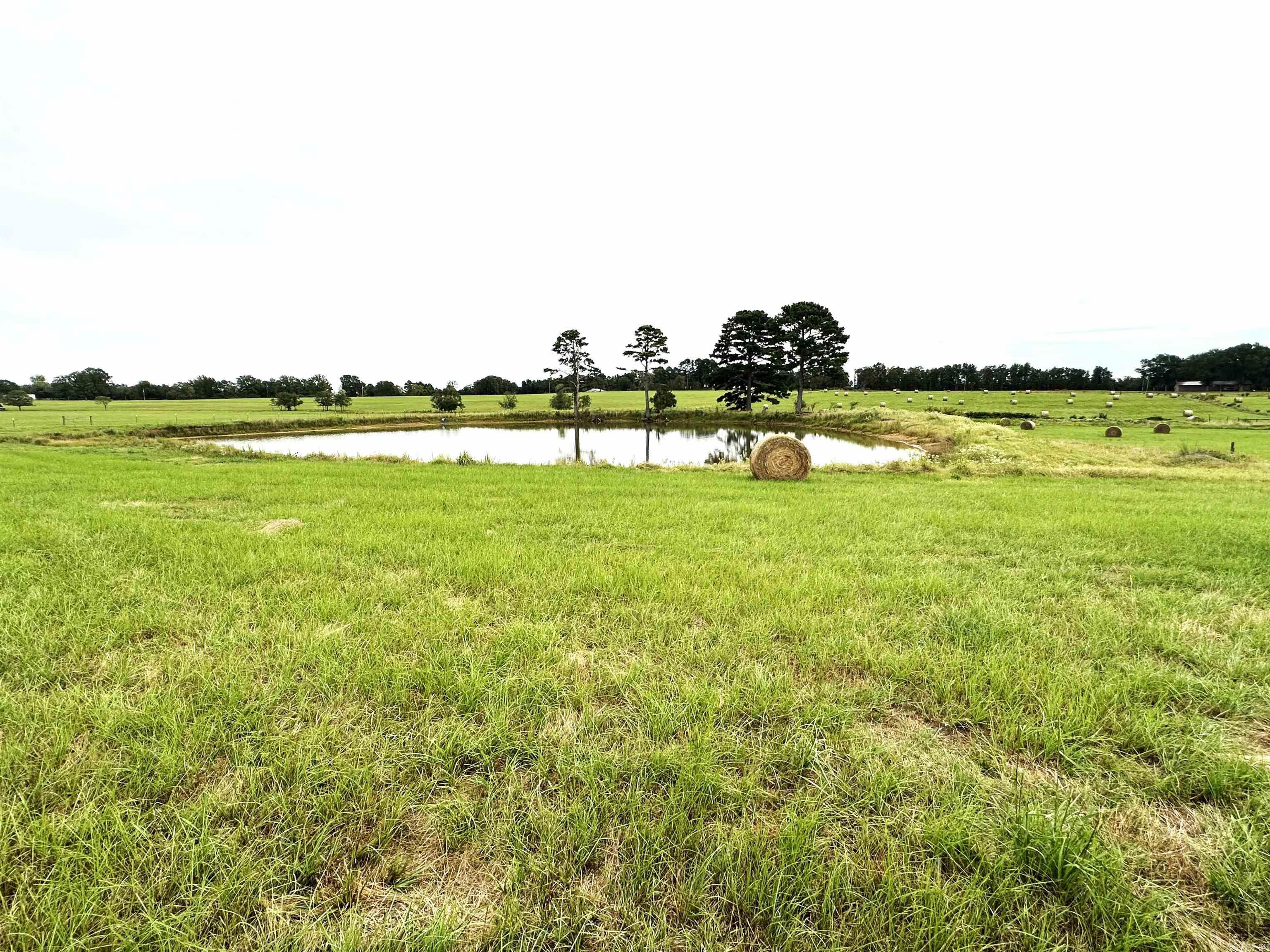 170 acres on beautiful rolling pastureland with 5 ponds, a dry-weather creek, an open barn, cross fence. There is a 1700 sqft home that needs major work on 1 acre of the property that can be sold separately. (the exterior of the home has already been updated with new siding)