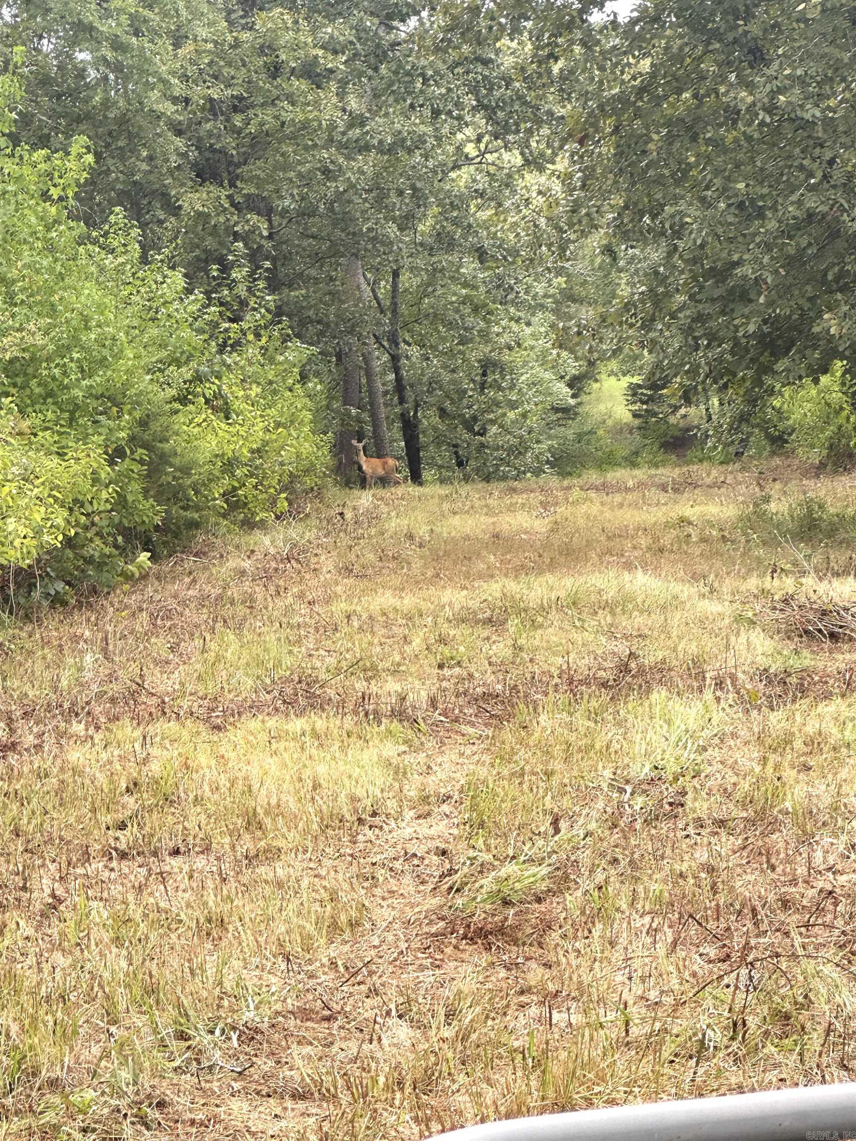 Faulkner County - Land
