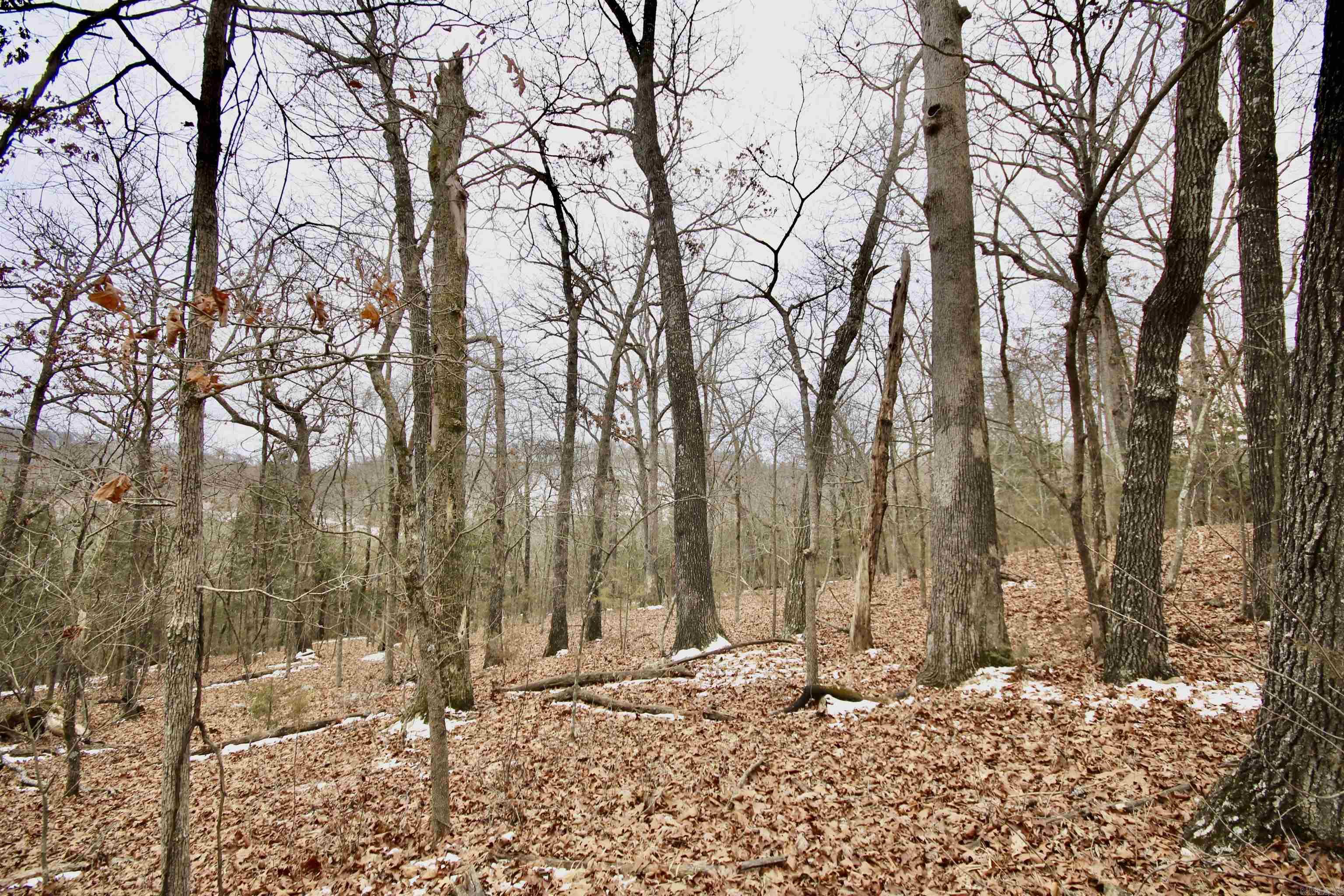 Not in Subdivision - Farm