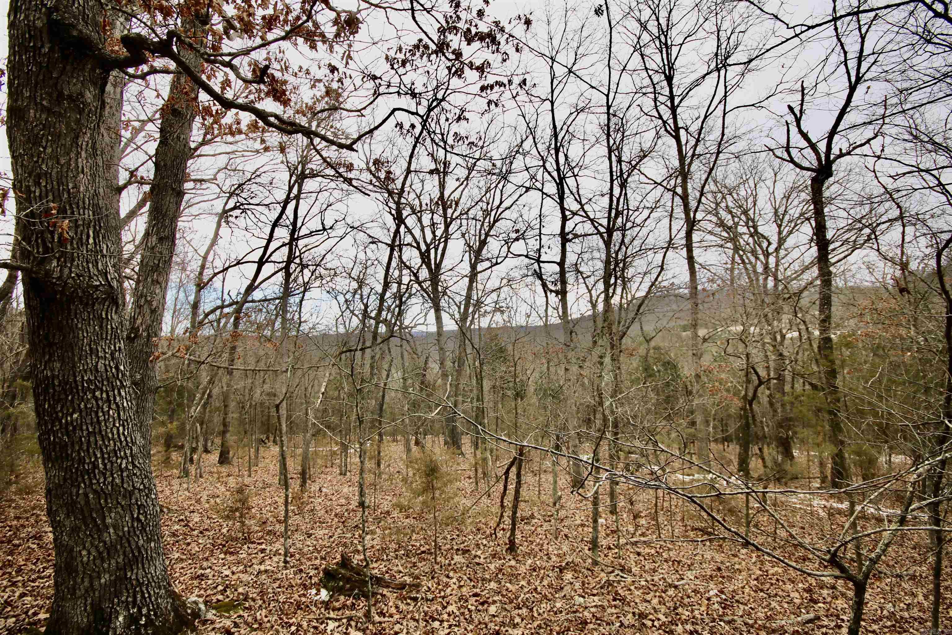 Not in Subdivision - Farm