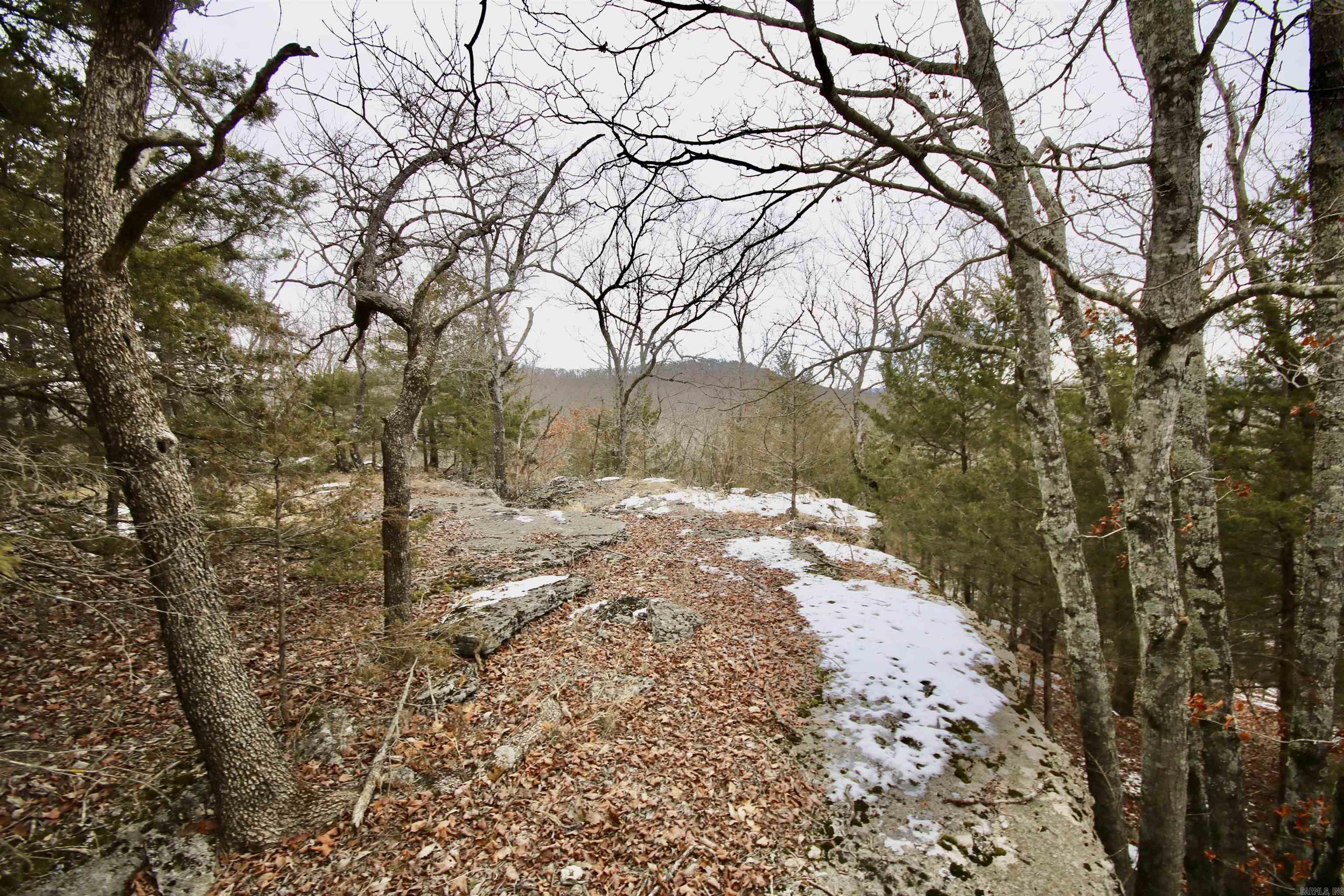 Not in Subdivision - Farm