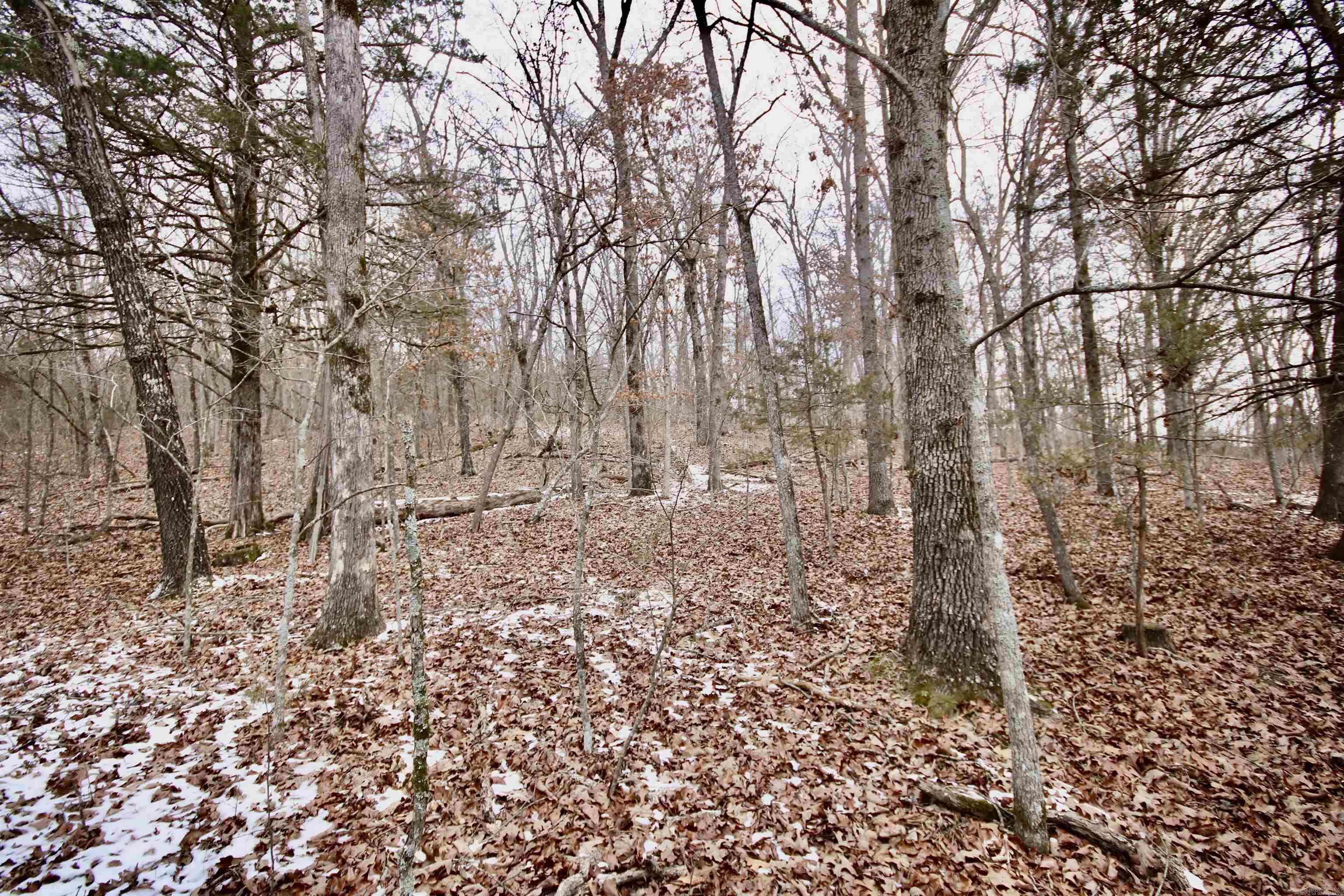 Not in Subdivision - Farm