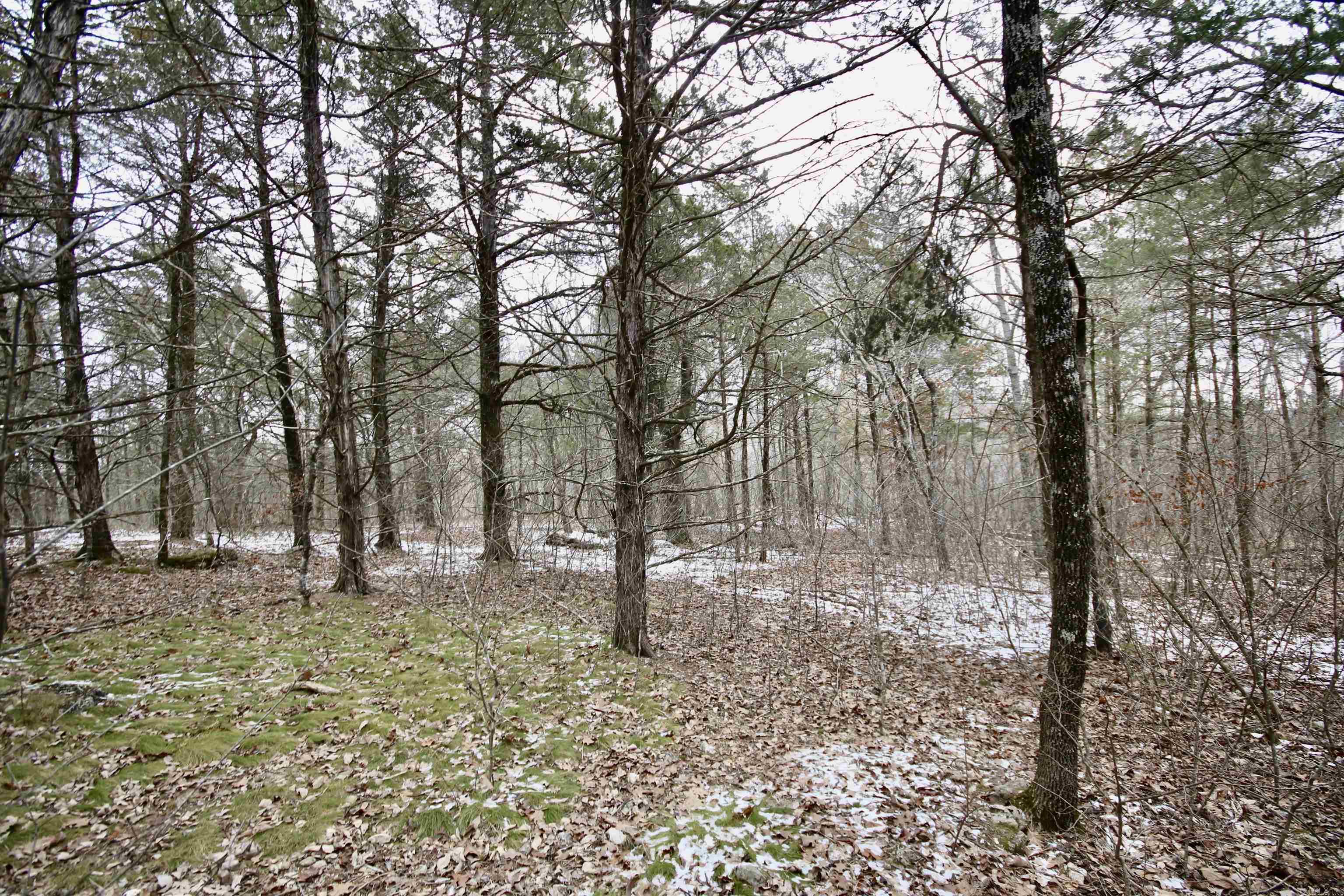 Not in Subdivision - Farm