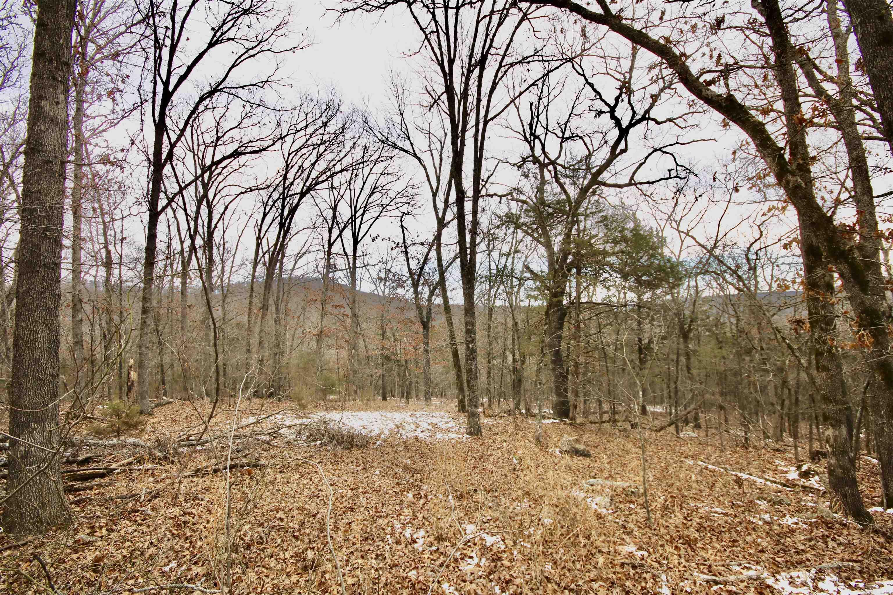 Not in Subdivision - Farm