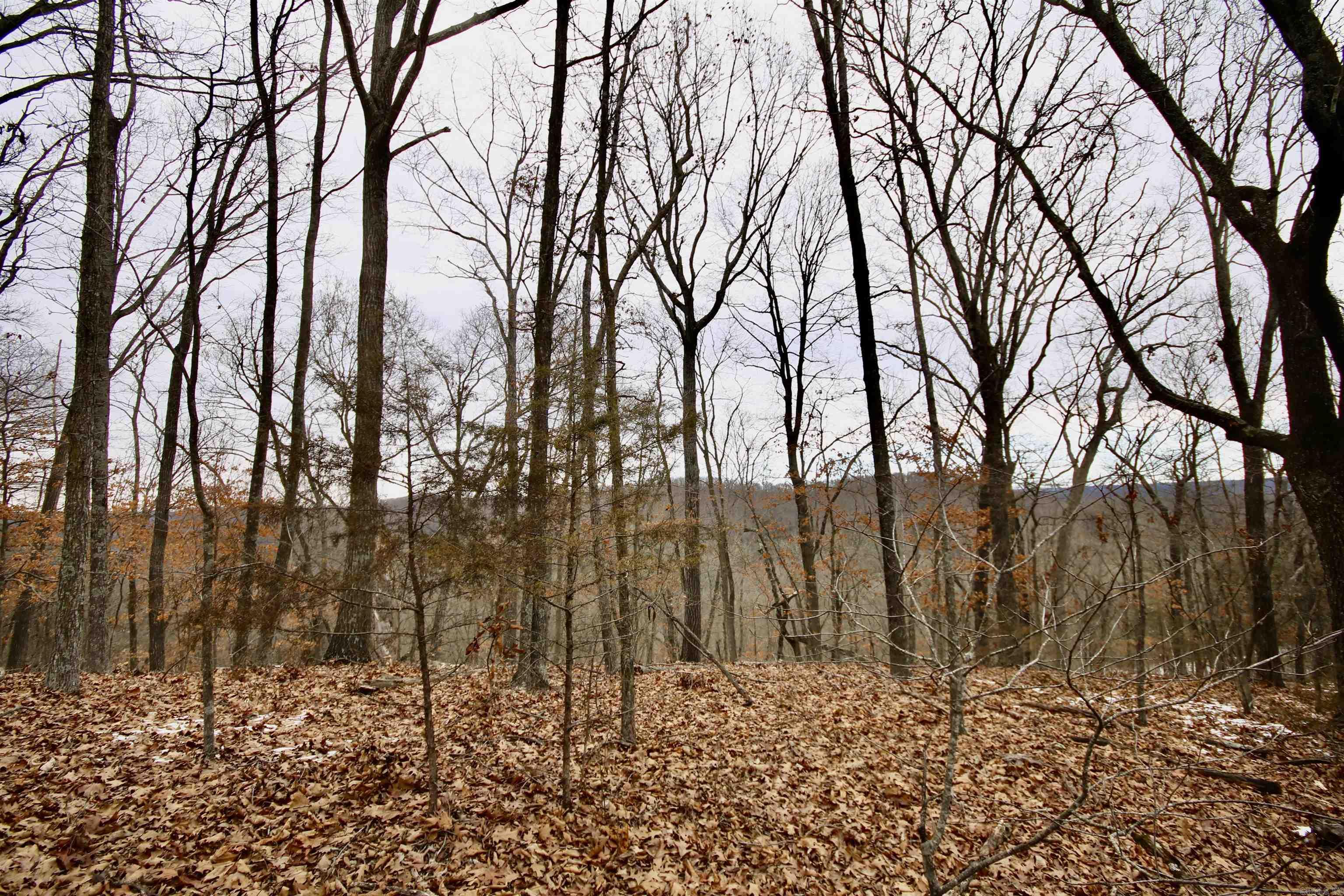 Not in Subdivision - Farm