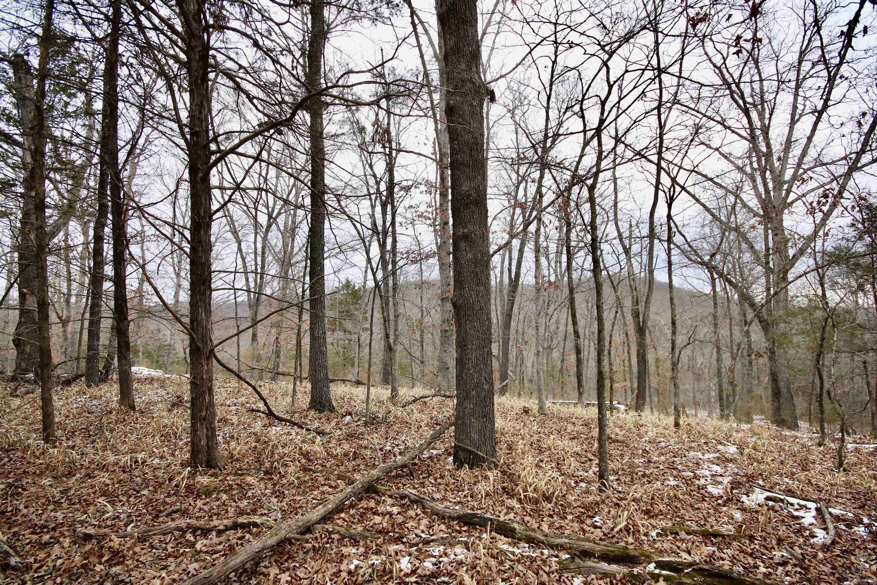 Not in Subdivision - Farm