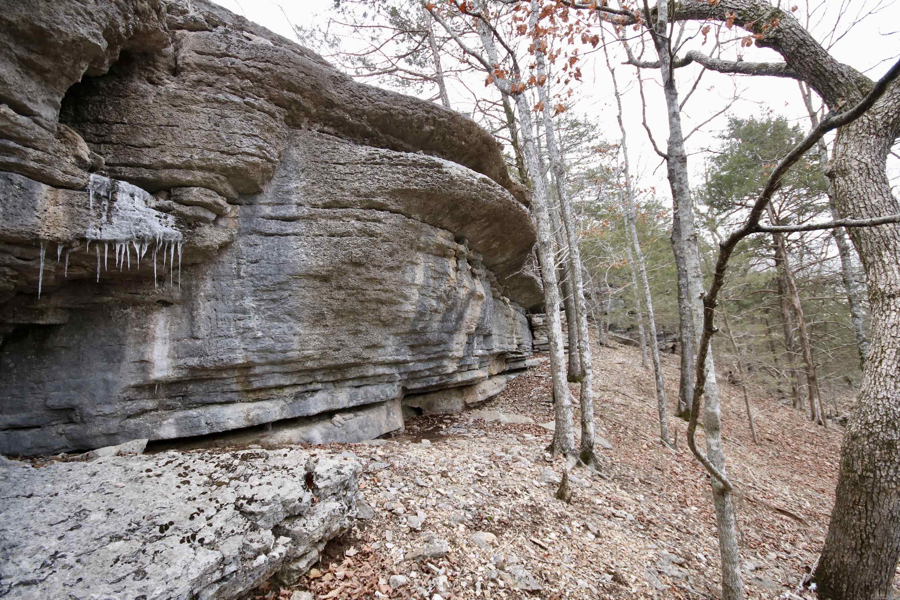 Not in Subdivision - Farm