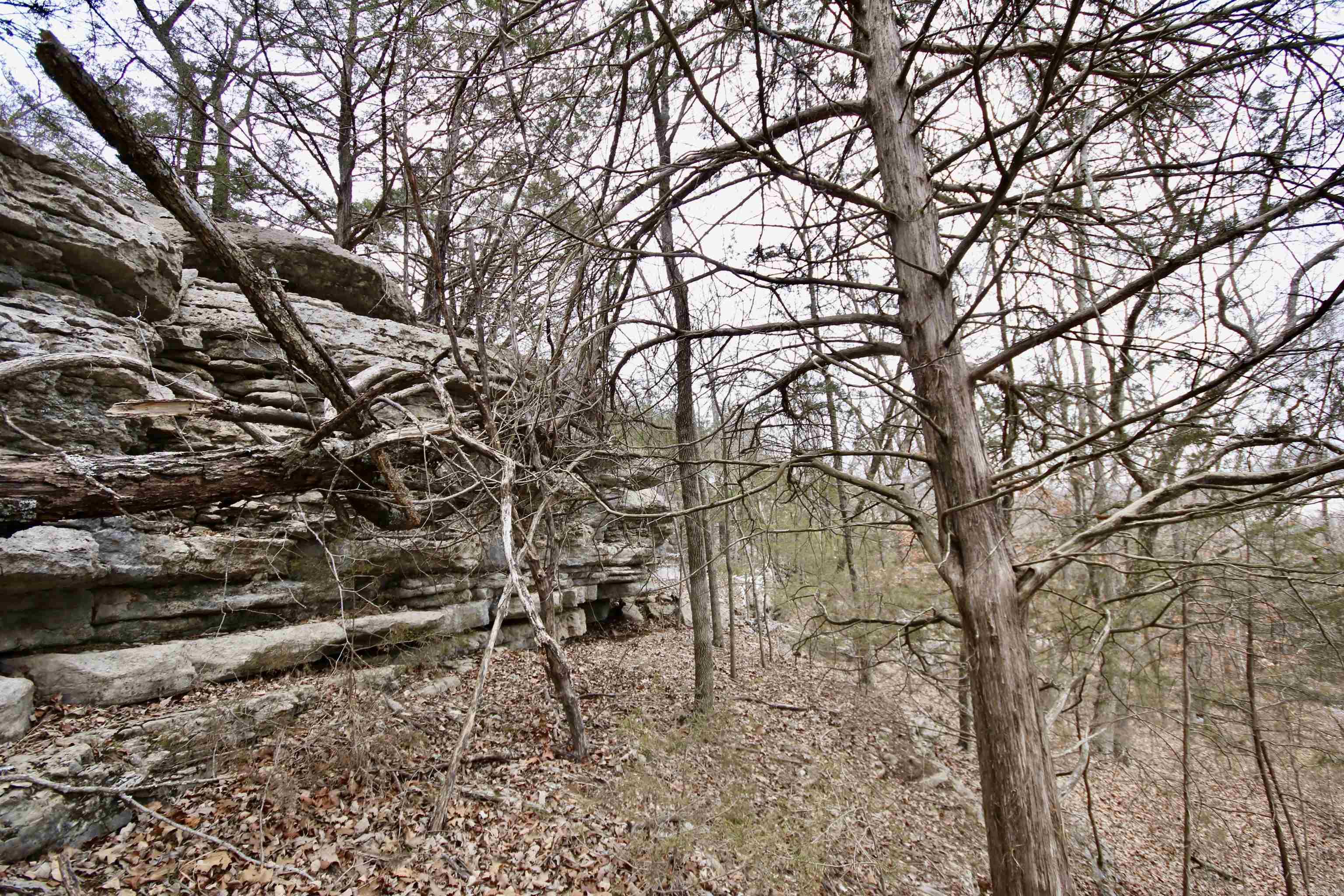 Not in Subdivision - Farm