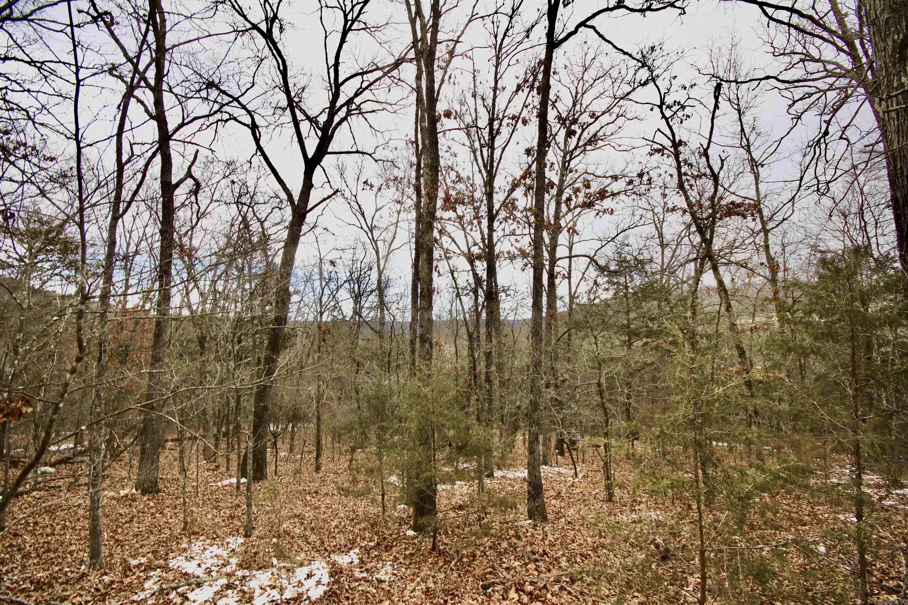 Not in Subdivision - Farm