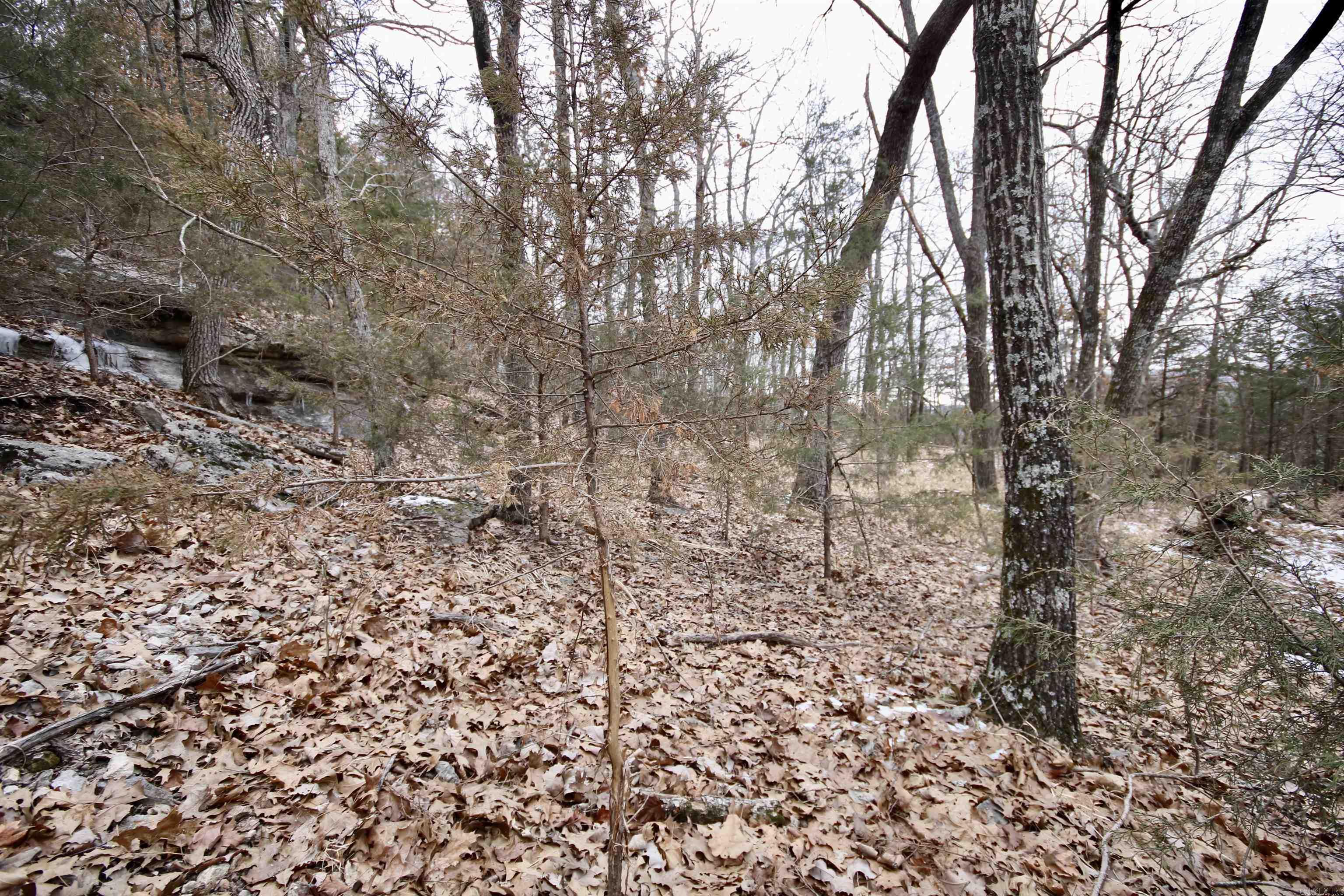 Not in Subdivision - Farm