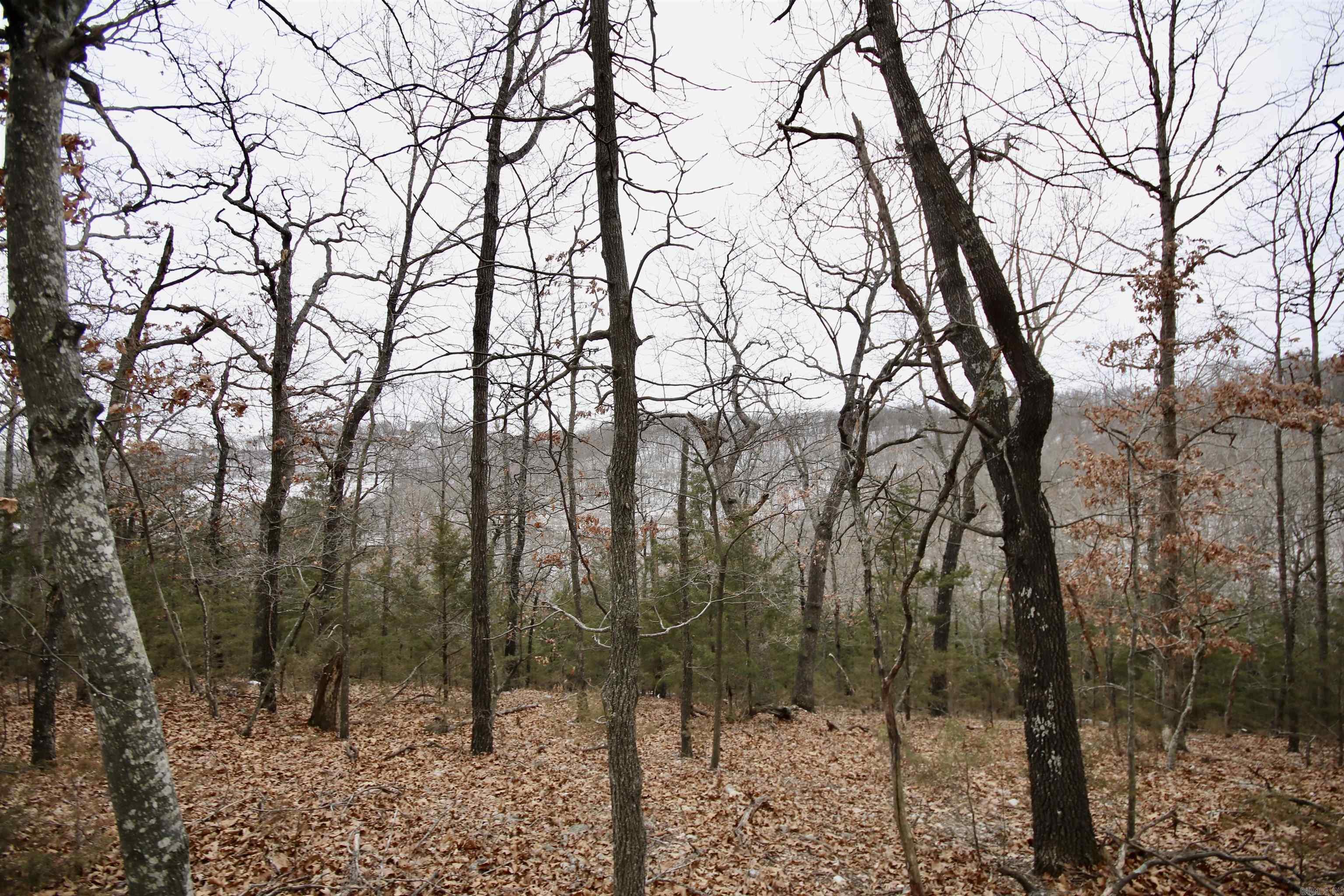 Not in Subdivision - Farm