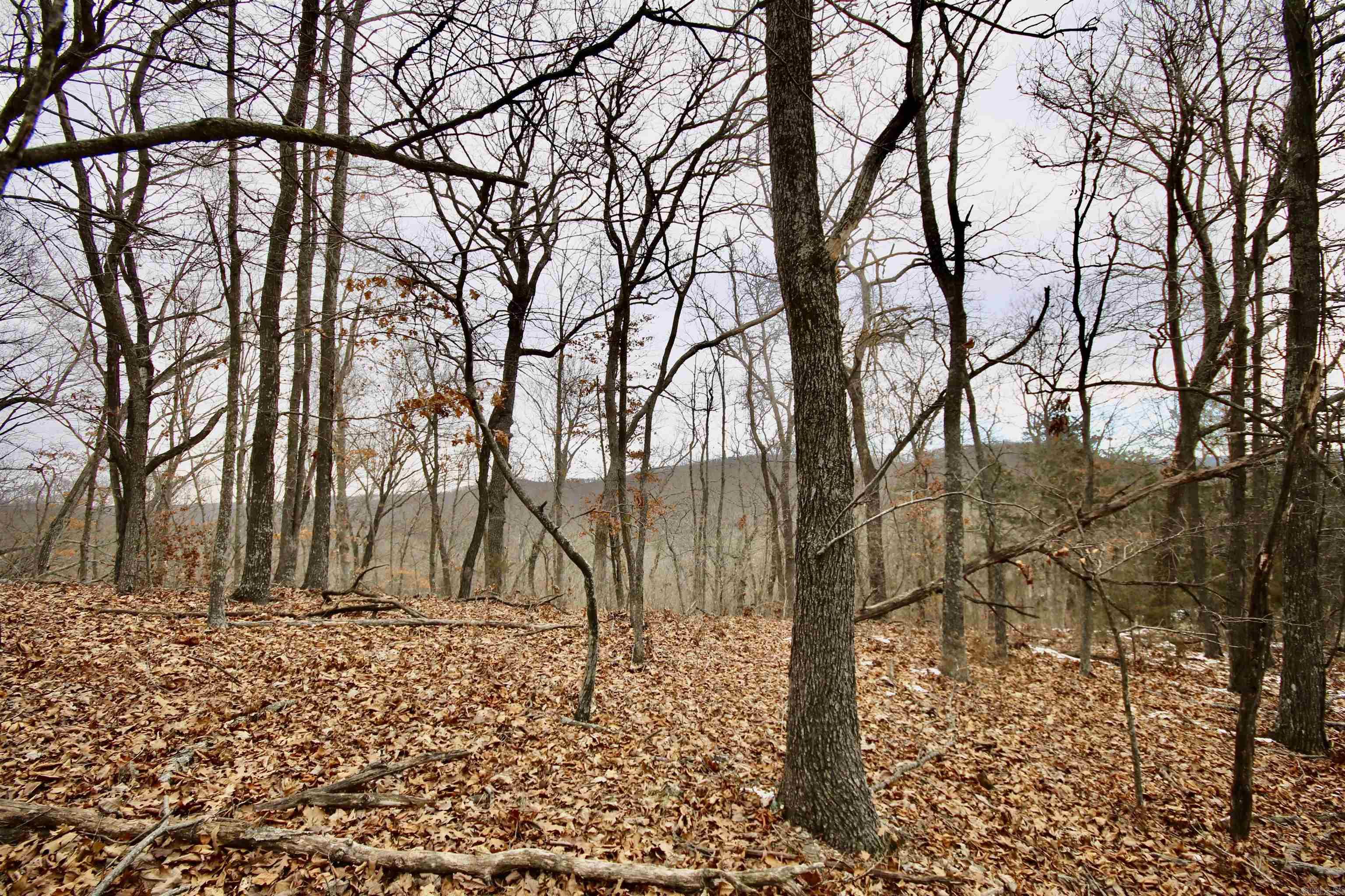 Not in Subdivision - Farm