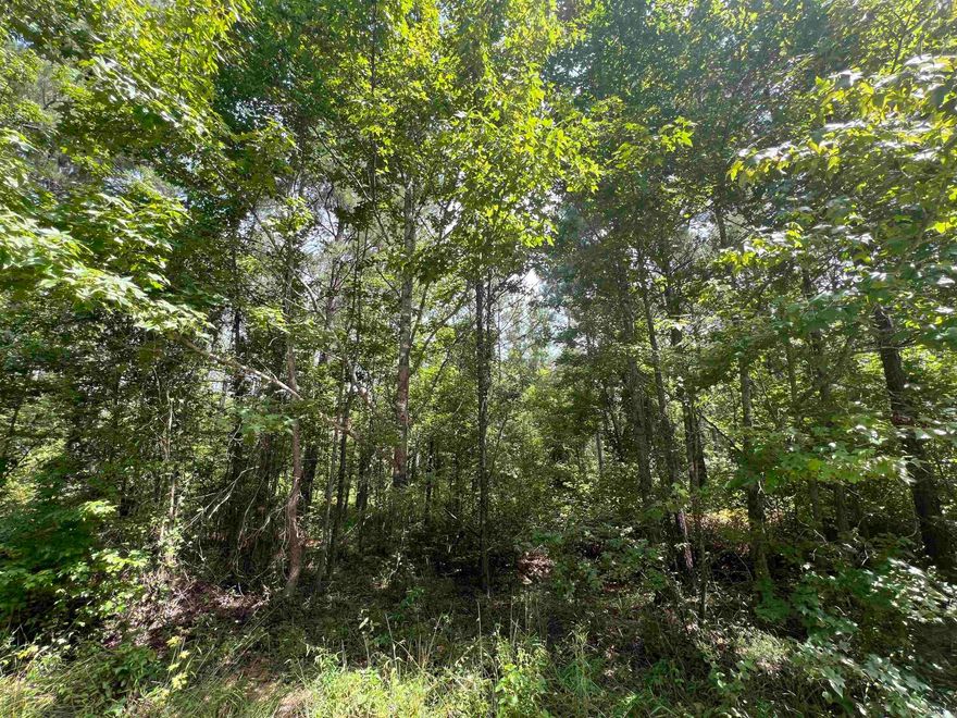 Looking for the perfect place to build your dream home, this 20-acre tract is the place. This undeveloped property holds plenty of options for homesites and privacy. Located on a quiet country road, yet conveniently located 15 mins north of Sheridan and 20 mins south of I-630. Call today to schedule your showing!
