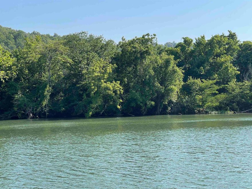 New to market - Spring River lot located in town on paved road south side of river. Bill of Assurance in documents on MLS. 81' of riverfront. Property mostly pasture with Trees on riverfront. Quiet water. City water is available. Power is available. Property is in flood way. Buyer will be responsible for obtaining elevation certifications to build on property. Don't miss out on this prime spring river front property located in the town of Hardy on paved road and close to Old Hardy town.