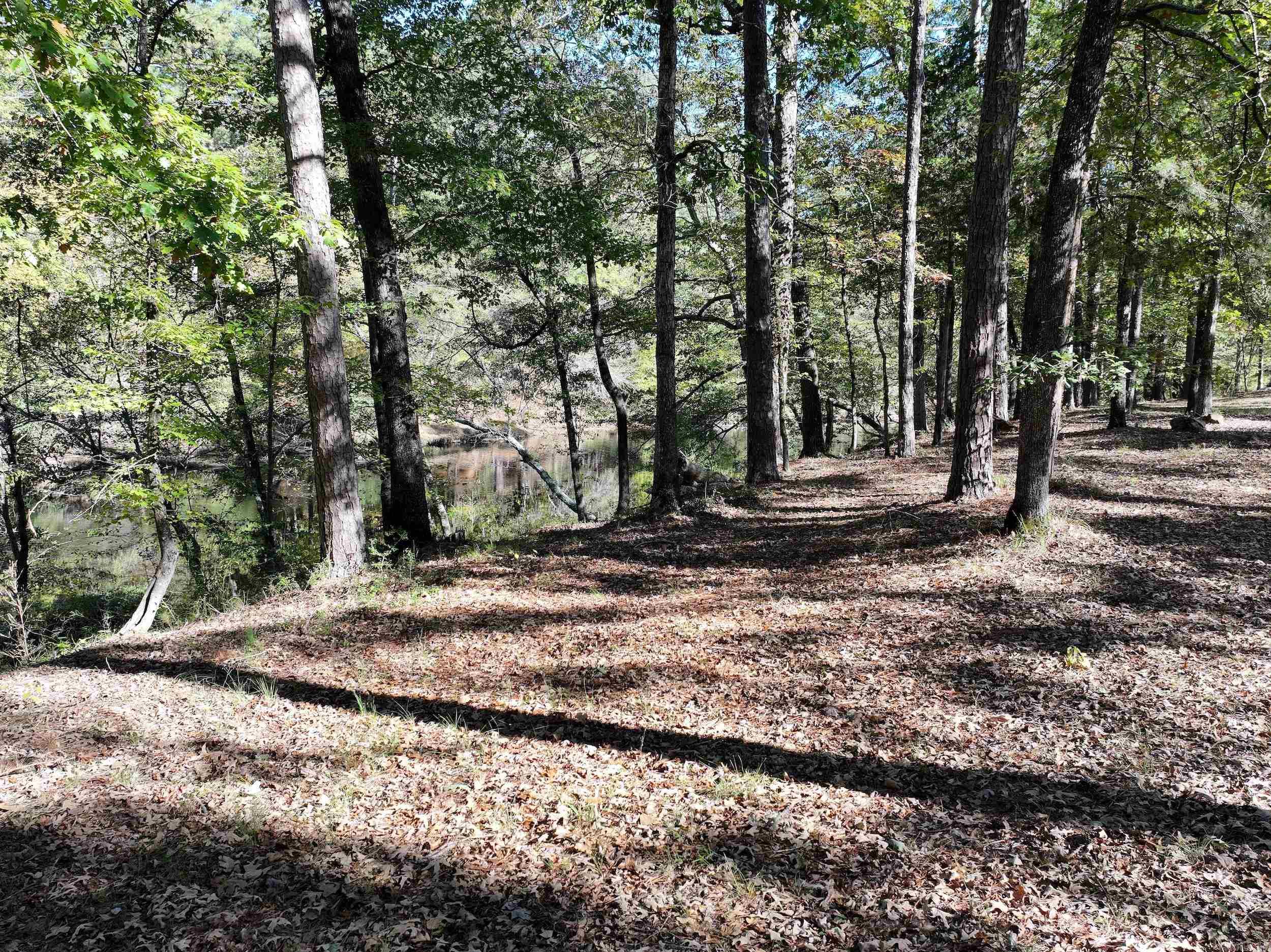 Metes & Bounds - Land