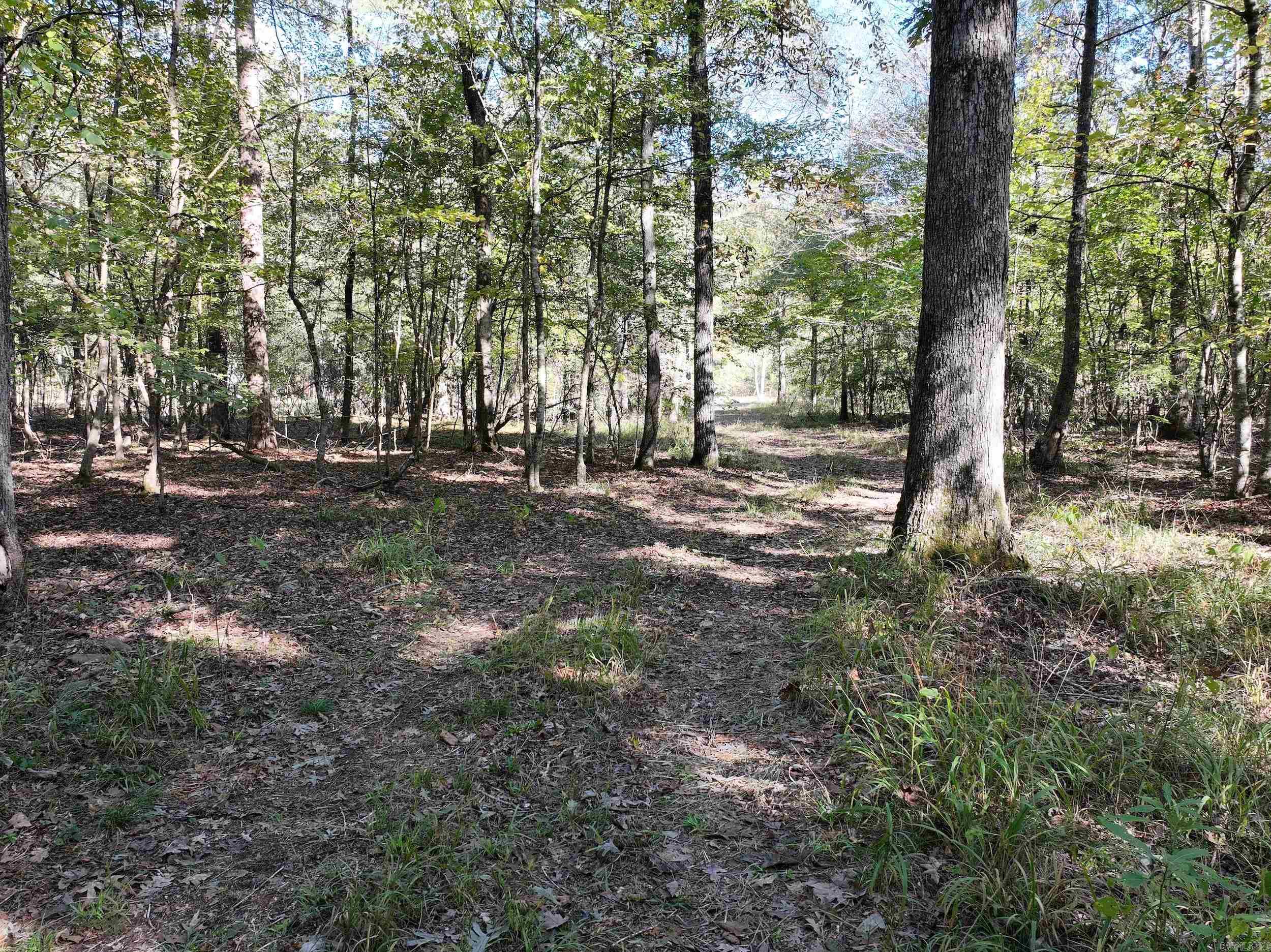 Metes & Bounds - Land