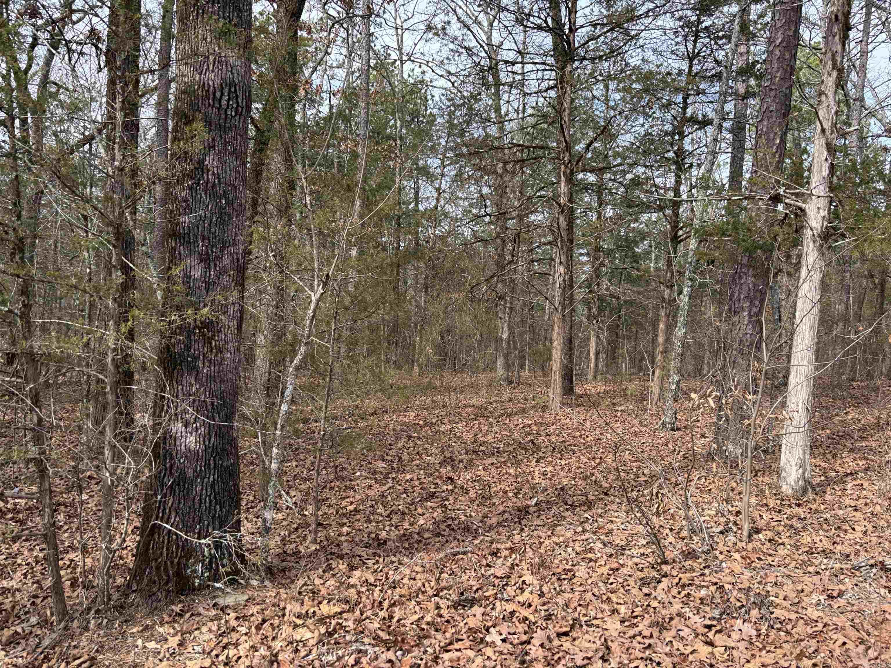 Metes & Bounds - Land