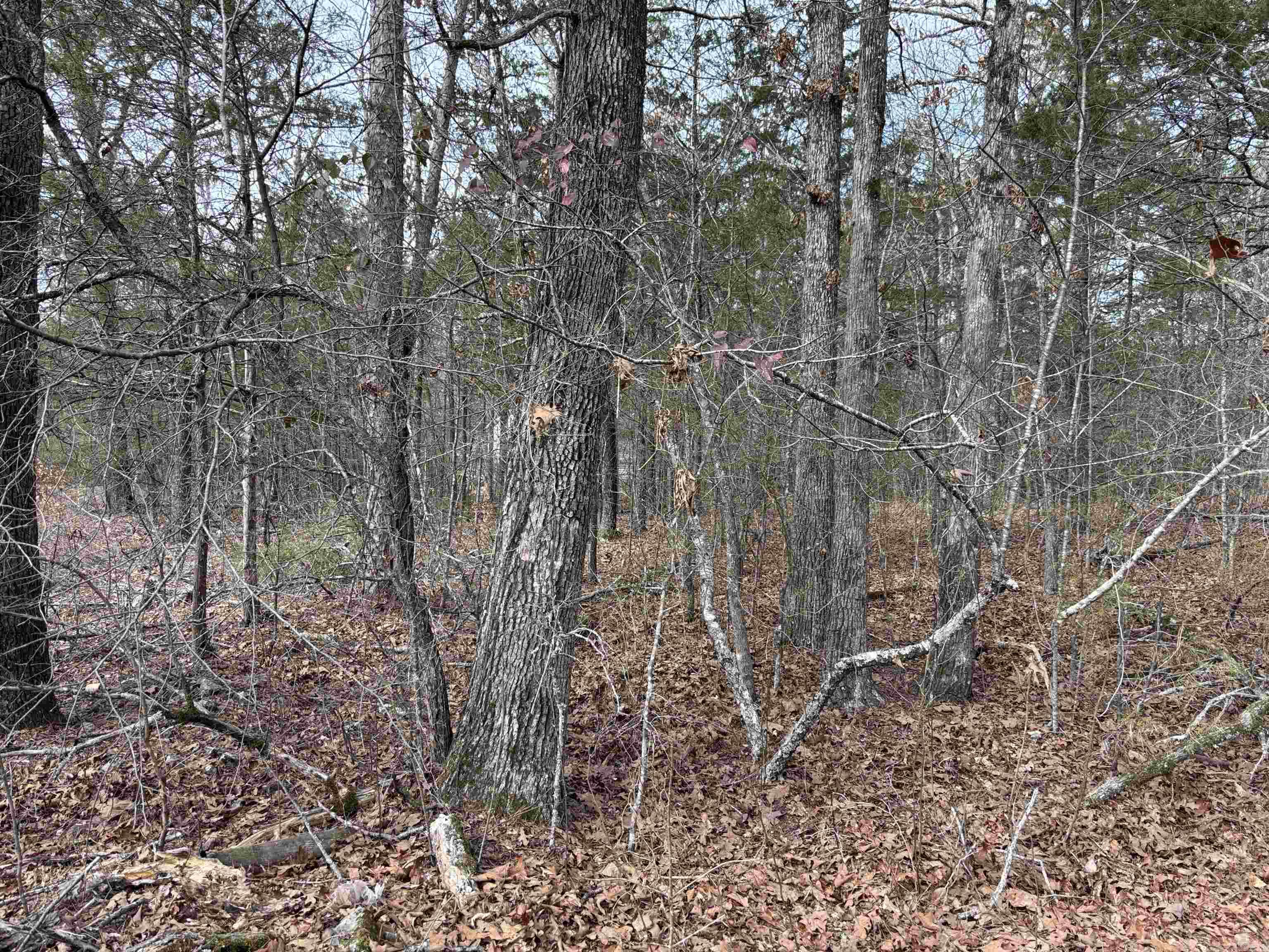 Metes & Bounds - Land