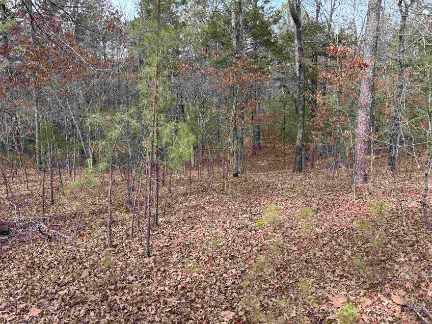 Bring your boats, jet skis, and all your water toys and make this beautiful 3.29 acre  tract your own! Whether you’re looking to build your dream lake getaway or place a mobile home, this property offers the flexibility you need.  Power and water are available at the property edge, making it even easier to start your plans. Just minutes from the lake and all it has to offer.  Don’t miss this opportunity to create your perfect retreat near the water!