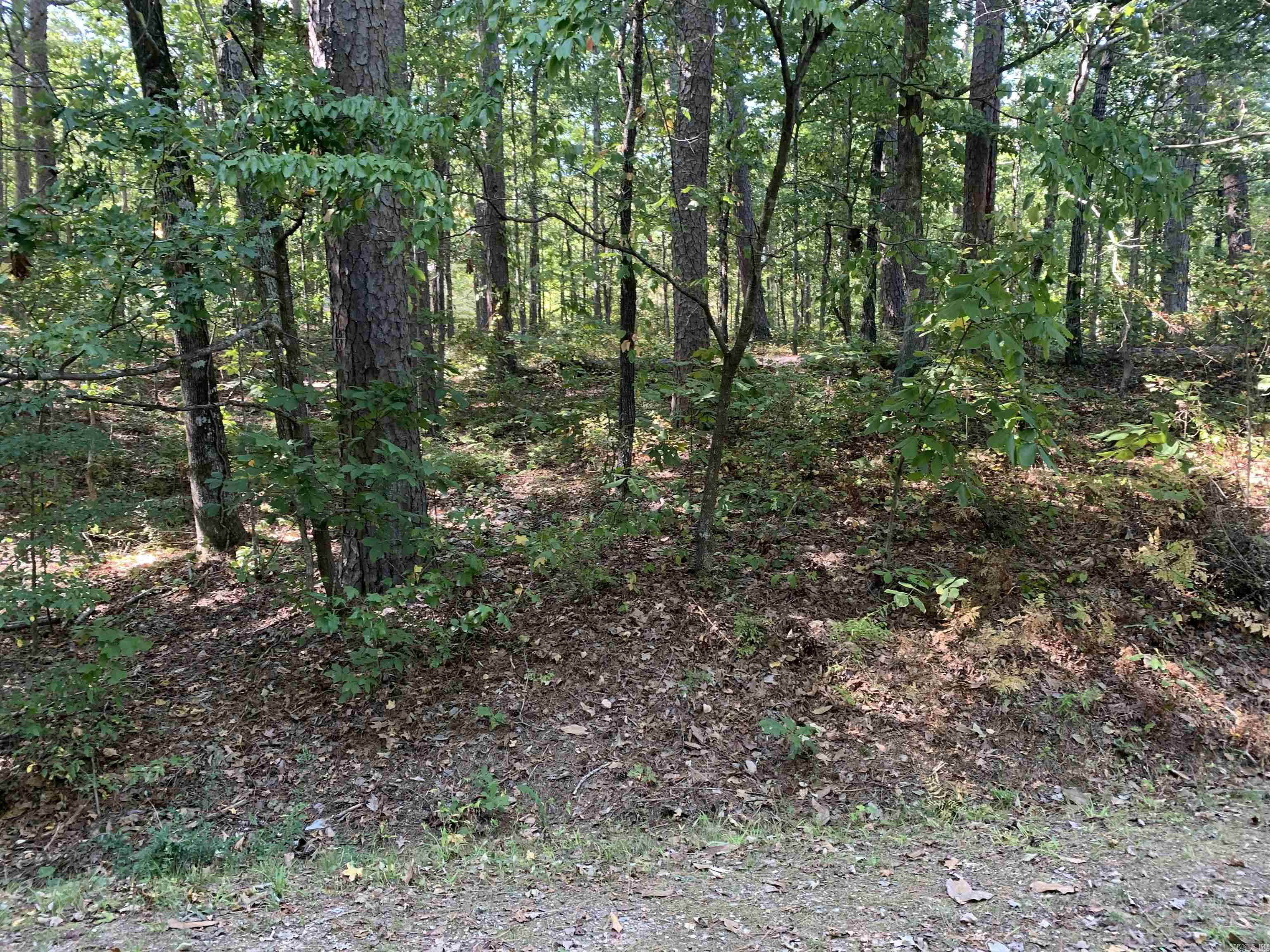 Beautiful building lot in Hot Springs Village. Make this one yours and begin enjoying all the Village amenities. New buyers to the Village have a $300.00 buy in fee payable to the POA at closing.