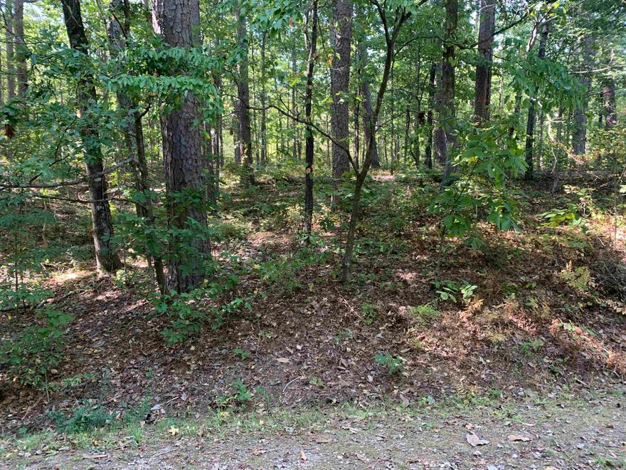 Beautiful building lot in Hot Springs Village. Make this one yours and begin enjoying all the Village amenities. New buyers to the Village have a $300.00 buy in fee payable to the POA at closing.