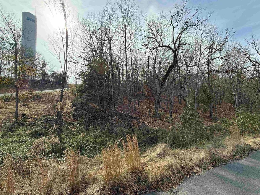 Welcome to Mountain Ranch Estates! This is a private gated community with large lots for all property owners. Tracts 94 & 95 is within the Cabot School District. Approx 20 minutes from Cabot High School and only a few minutes from 67/167. Come checkout Mtn Ranch Estates gated community! This lot has Water, Electric, Gas & Fiber internet. This lot has a mild slope and will provide a convenient location for easy access in and out of the neighborhood either via the Bailey Rd East side entrance or out the Main gate at the North entrance onto Lewisburg Rd.  This neighborhood boasts privacy, community, & a private lake too! Come visit today! See Agent Remarks.