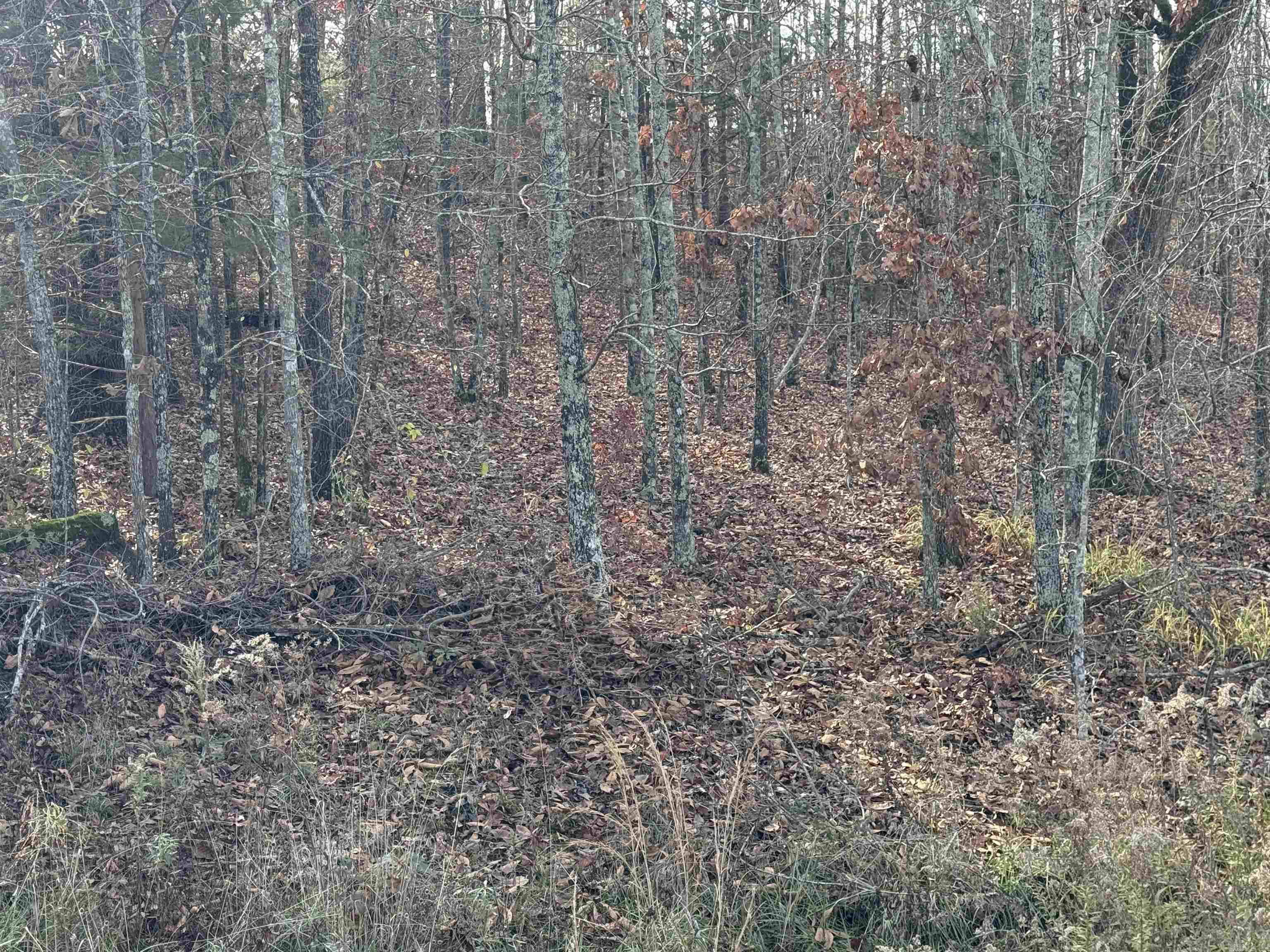 Mountain Ranch Estates - Land