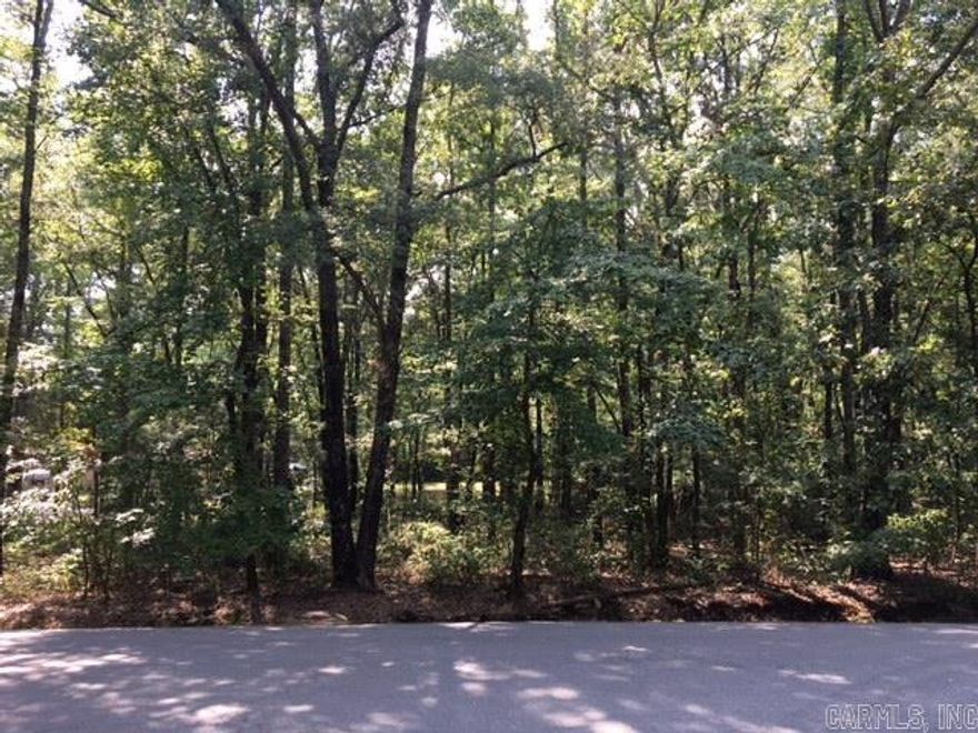 How would you like to drive home to this slice of country in the heart of Sherwood? With a such a beautiful stand of trees, you could feel like you live in the forest in the middle of the city. This is an ideal level lot for a slab foundation home conveniently located near everything the city has to offer! Almost precisely in the center of Arkansas the Natural State with less than a one day drive to a wide variety of national parks and lakes for recreation and only 17 minutes to the national airport.