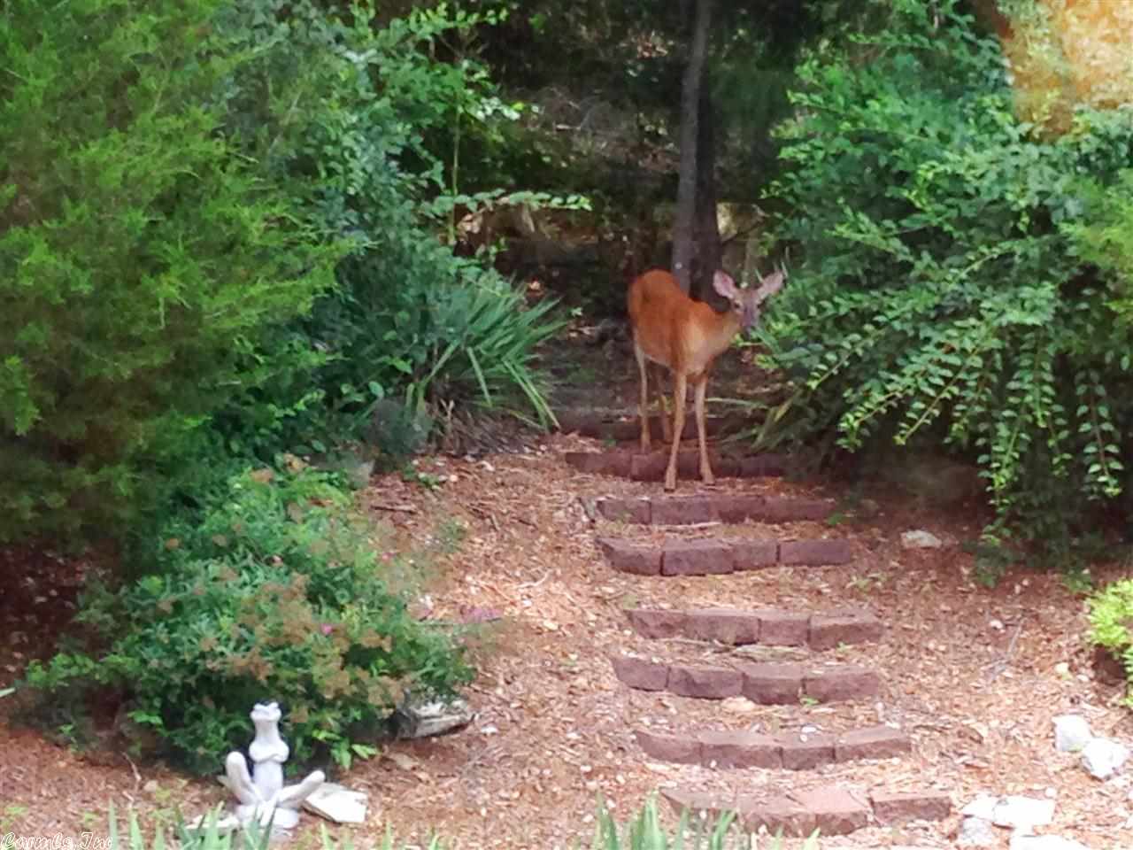 Crow 5th - Residential