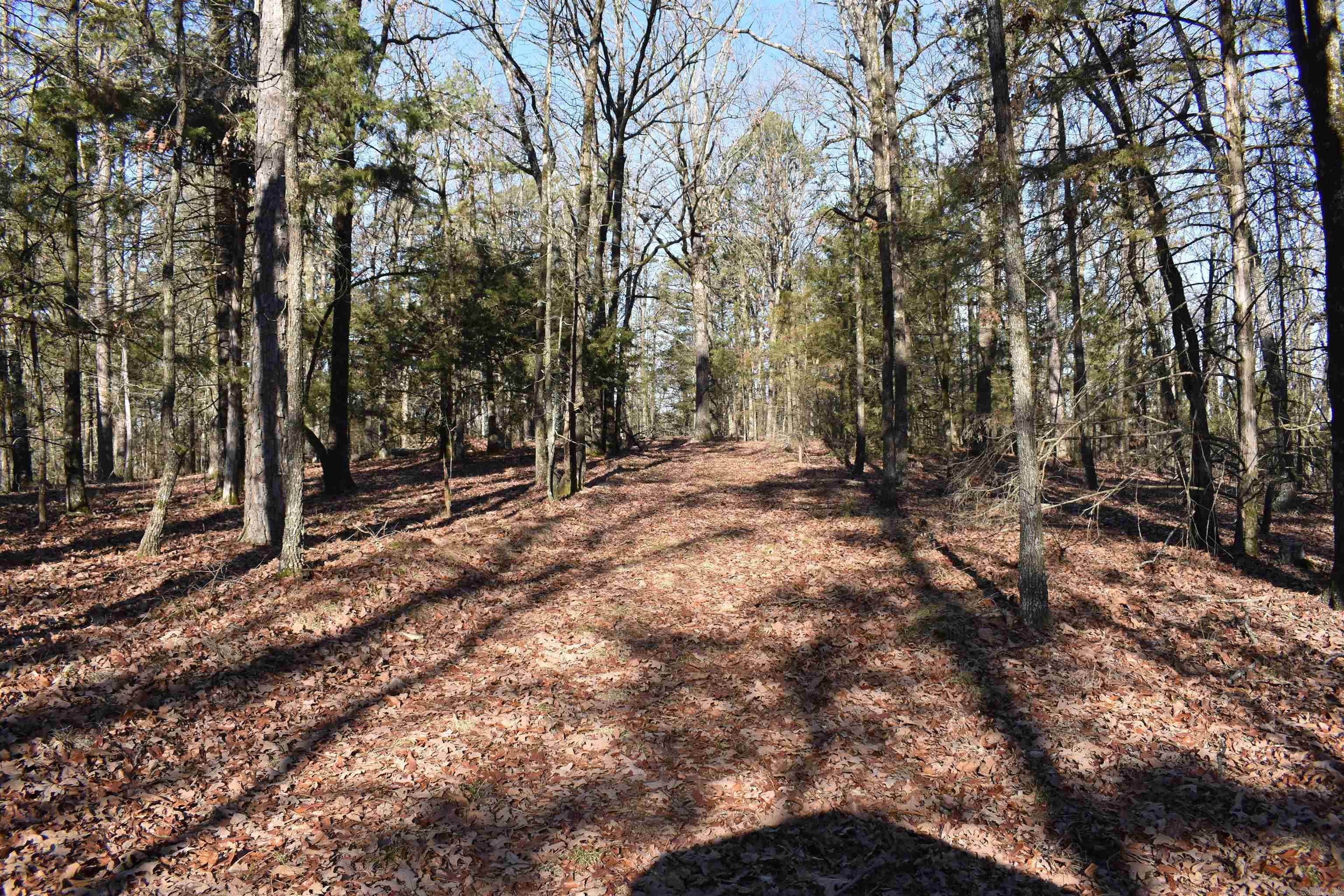 Metes & Bounds - Land