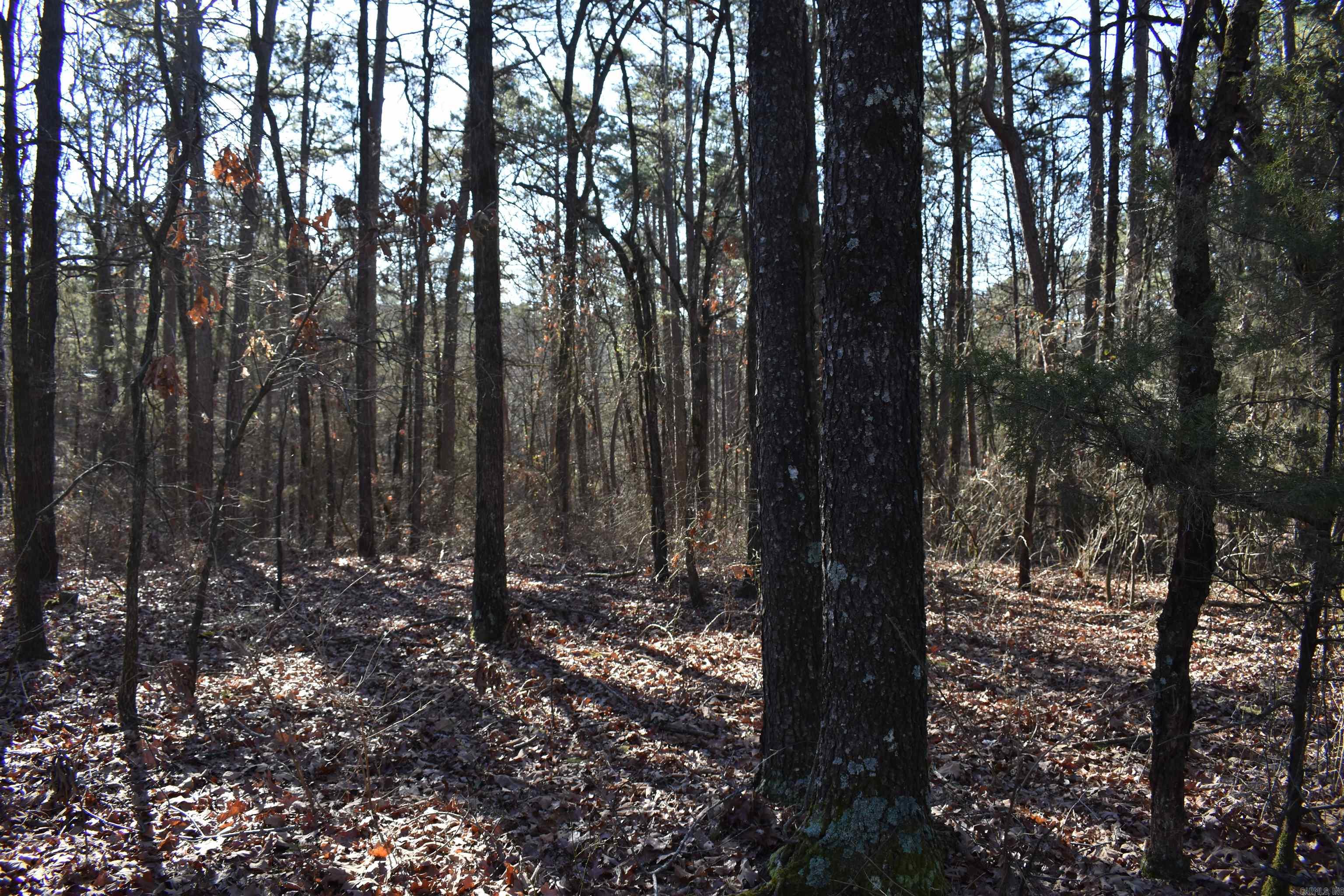 Metes & Bounds - Land