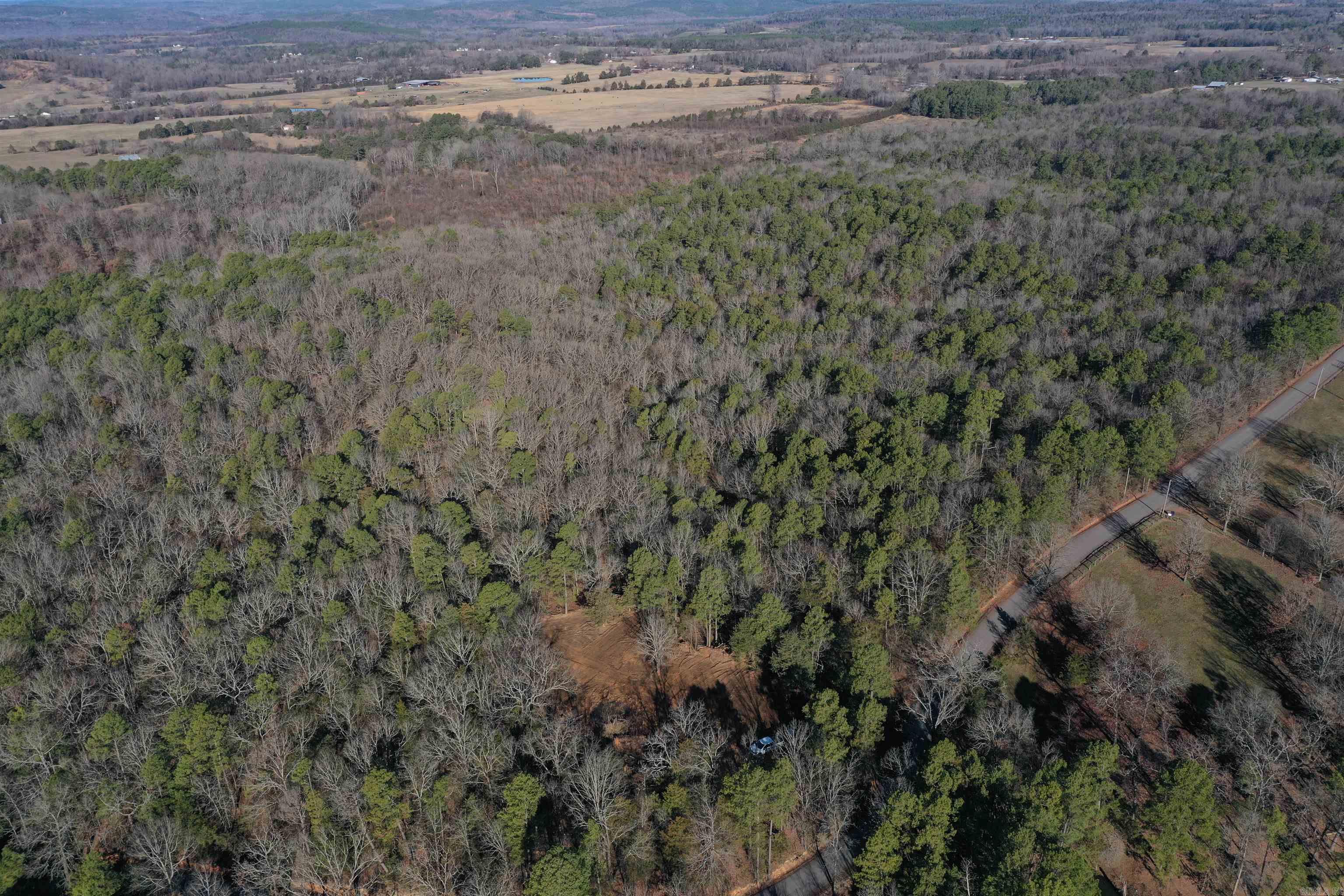 80 +/- Acres • Mature Hardwood and Pine Timber • Excellent trail system • Paved County Road Frontage • Rolling Topography • Great Build Sites • Power, Water, and internet service at the road • Abundance of Deer and Turkey • Food Plot Areas • Seasonal Creeks • Minutes away from Hector • Minutes away from Ozark National Forest • 20 Minutes from Russellville