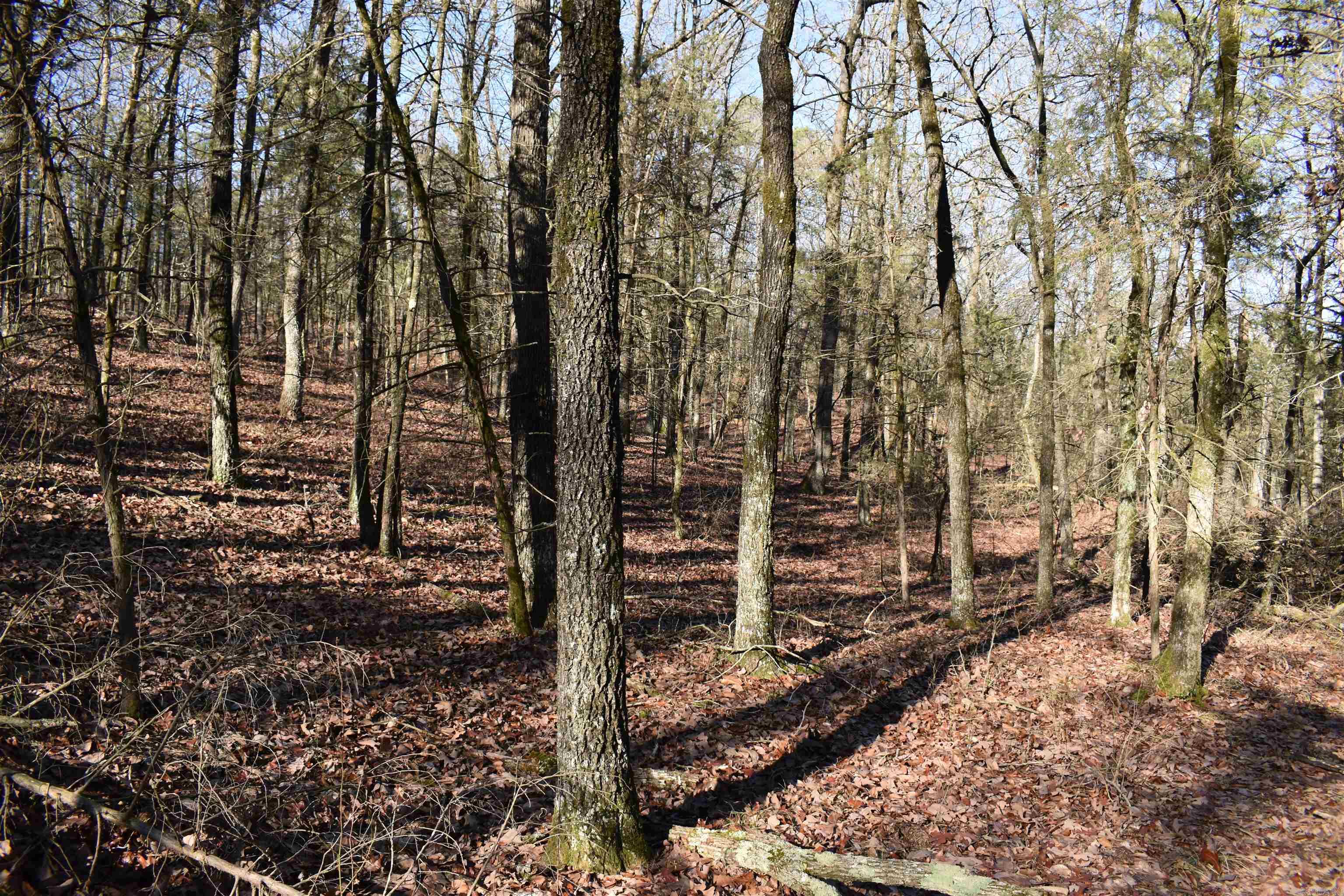 Metes & Bounds - Land