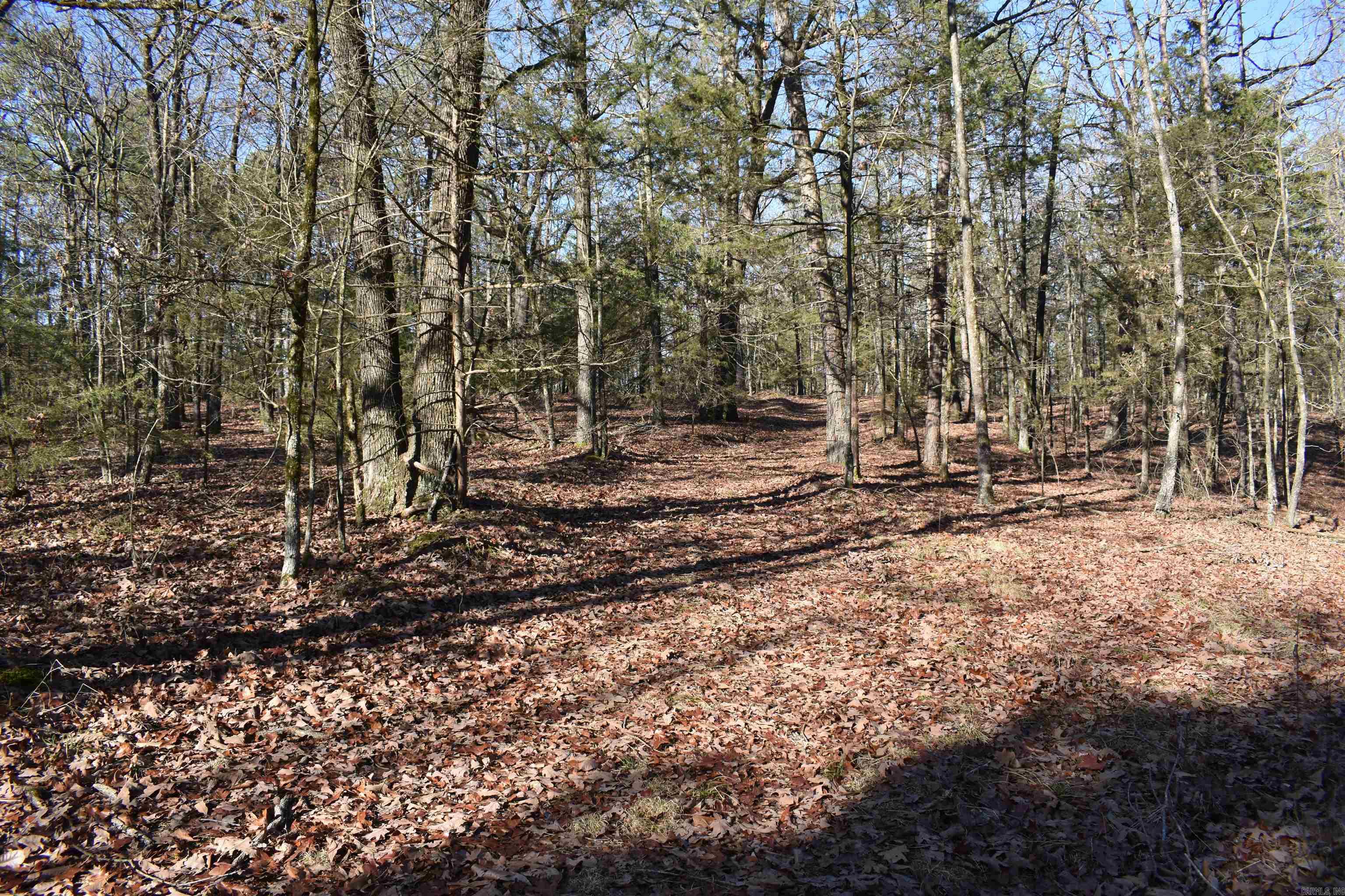 Metes & Bounds - Land