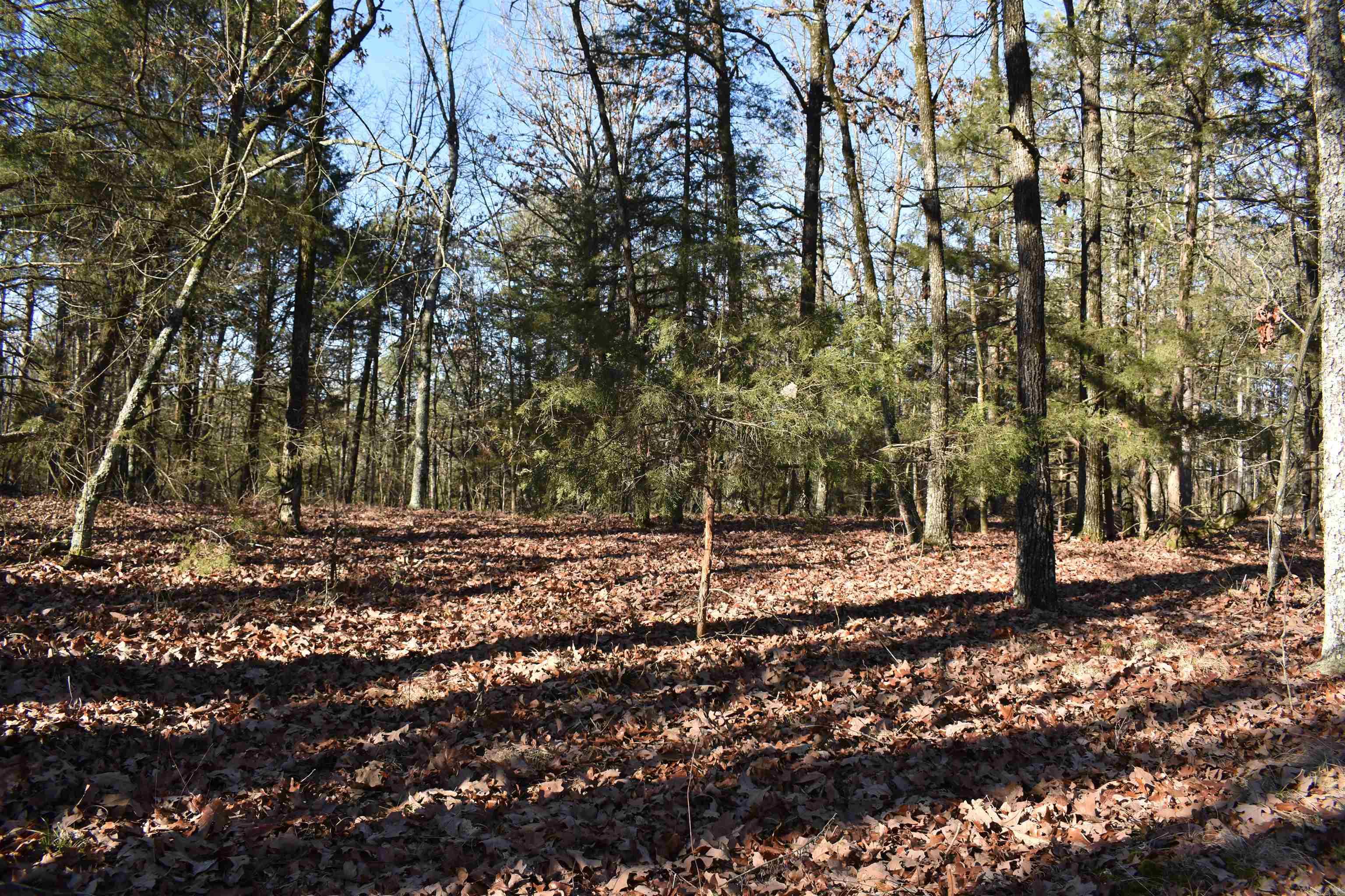 Metes & Bounds - Land