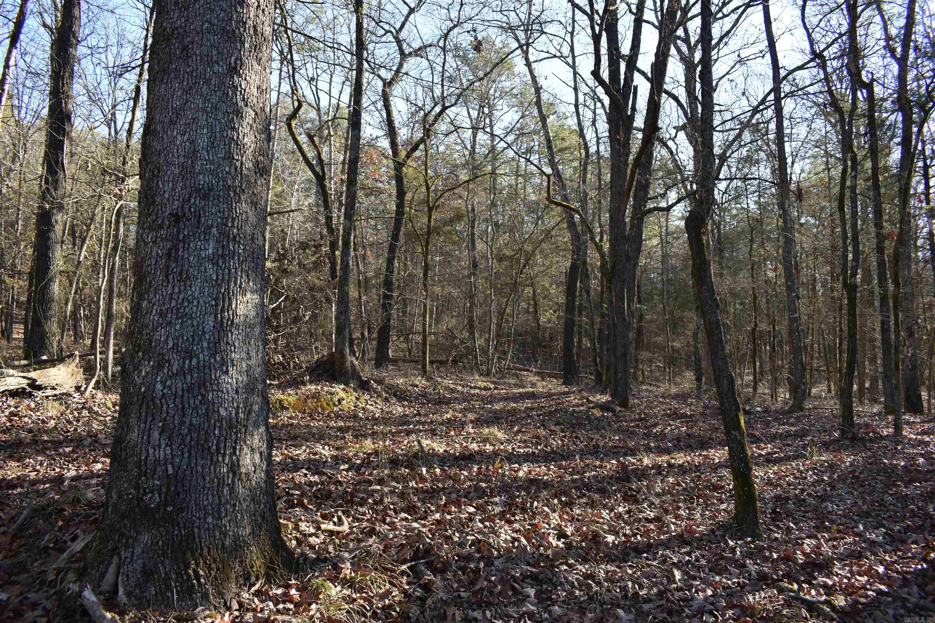 Metes & Bounds - Land