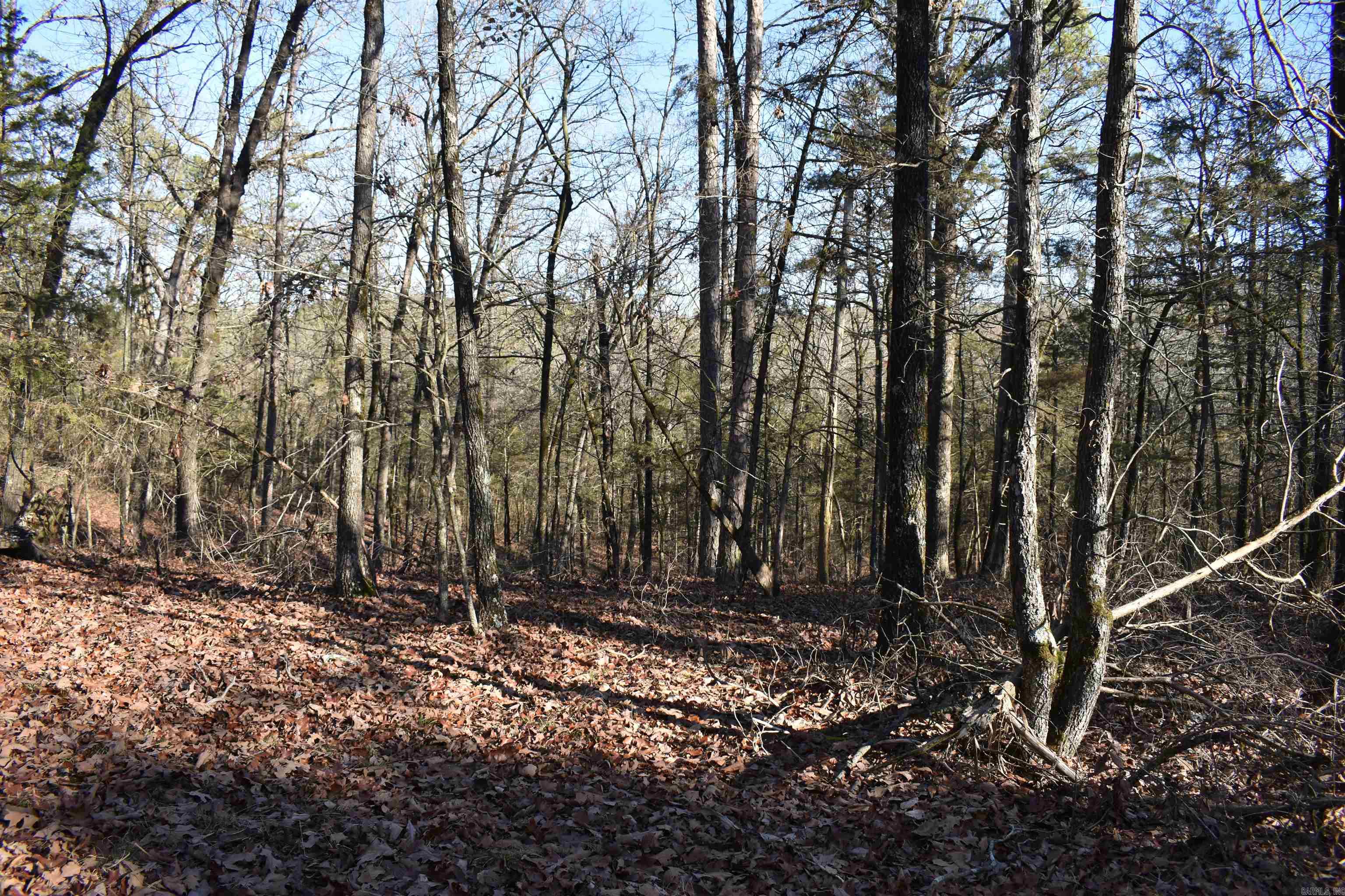 Metes & Bounds - Land