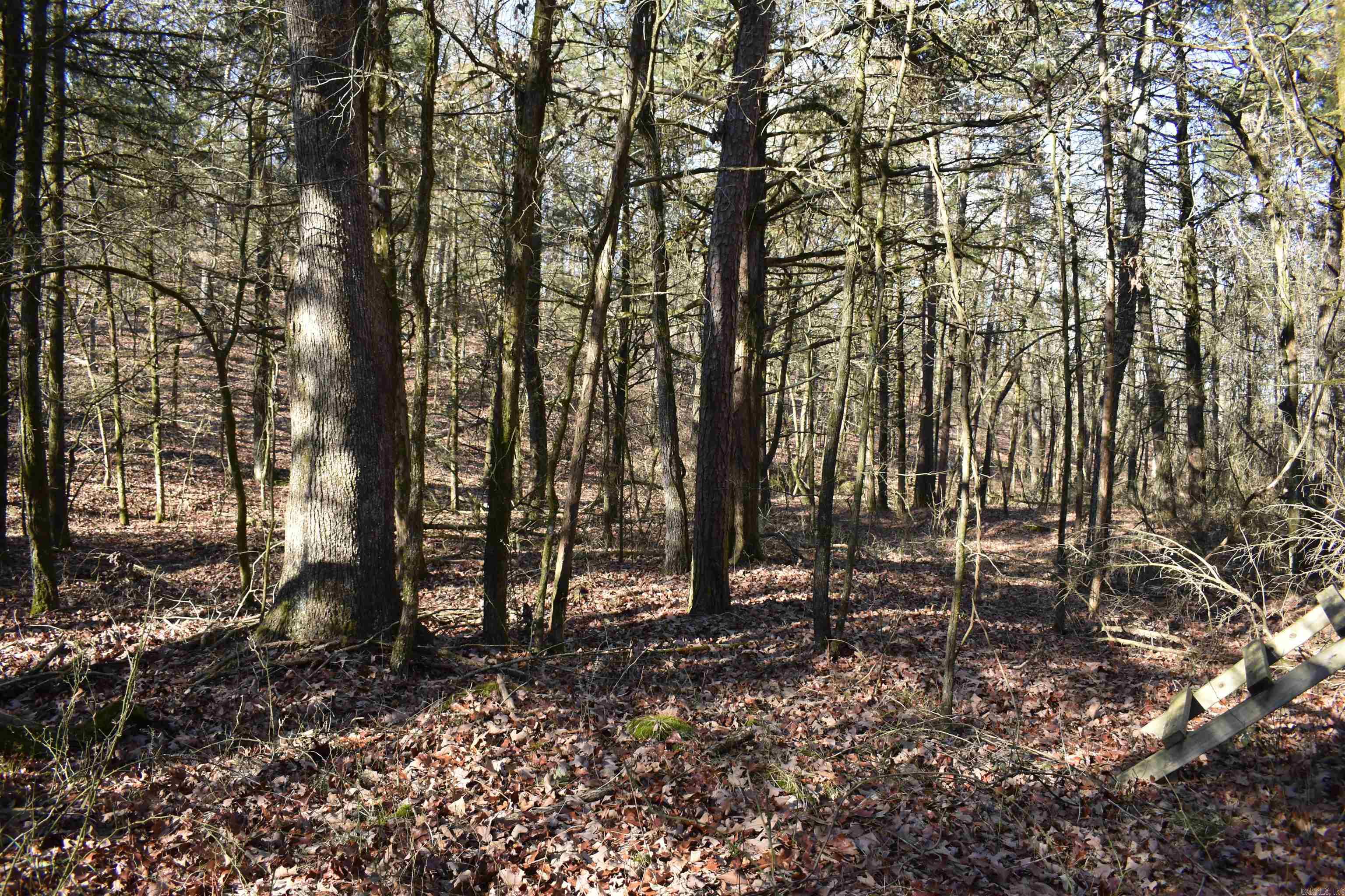 Metes & Bounds - Land