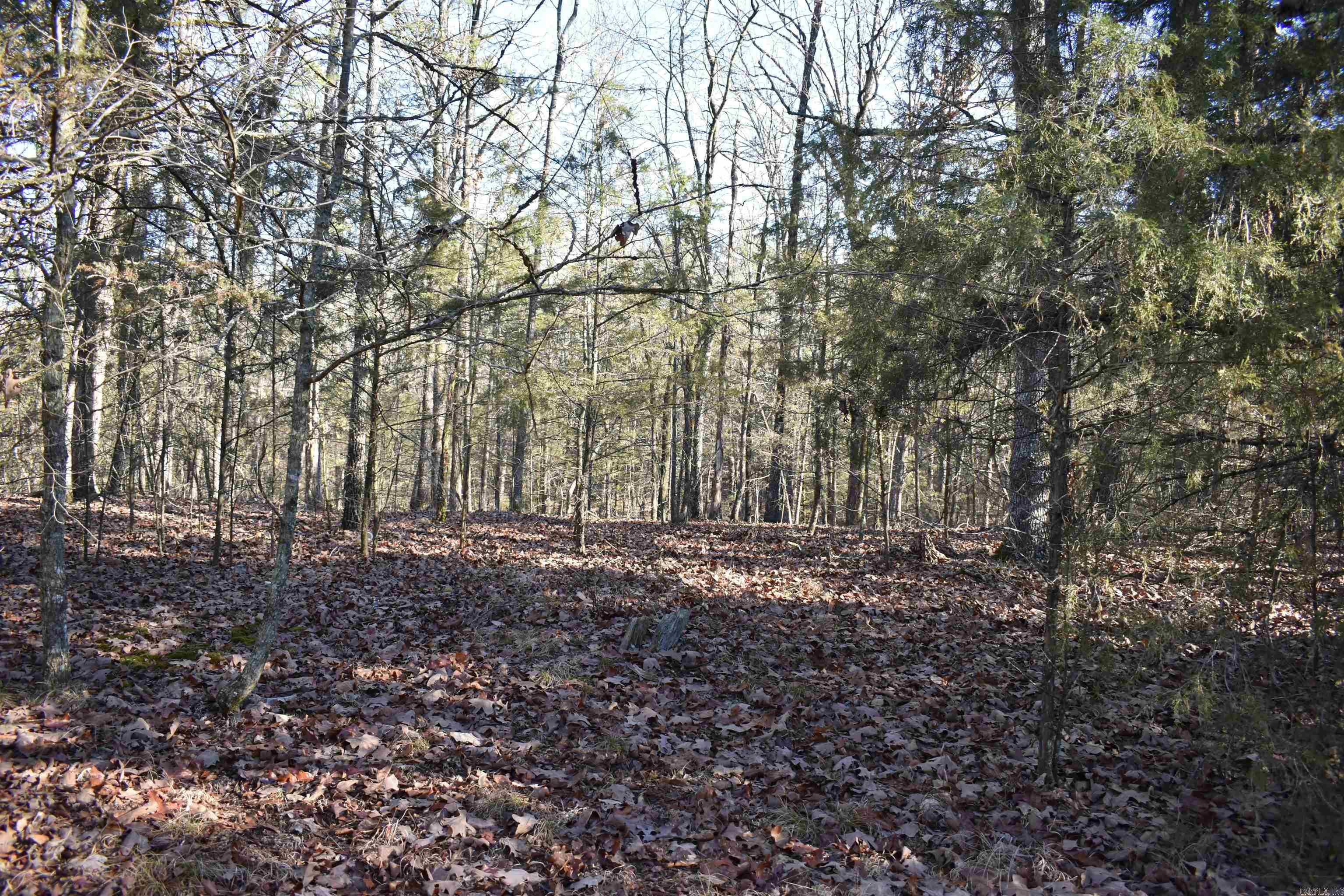 Metes & Bounds - Land