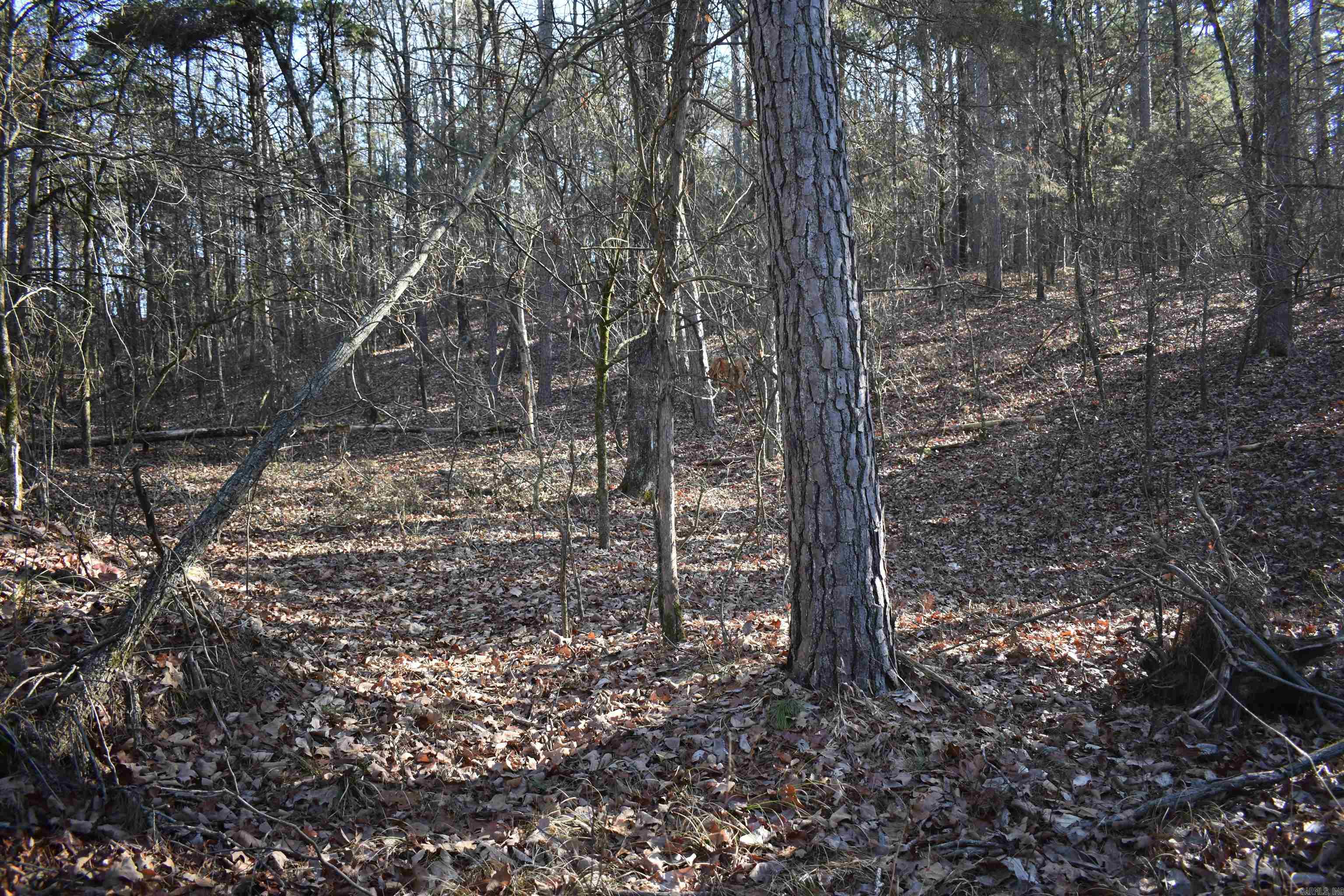 Metes & Bounds - Land