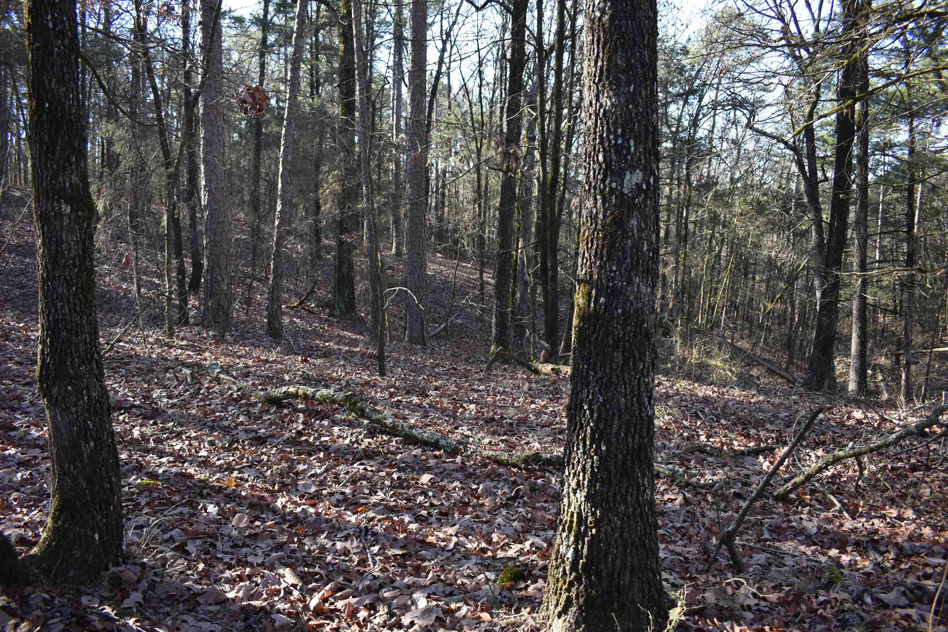 Metes & Bounds - Land