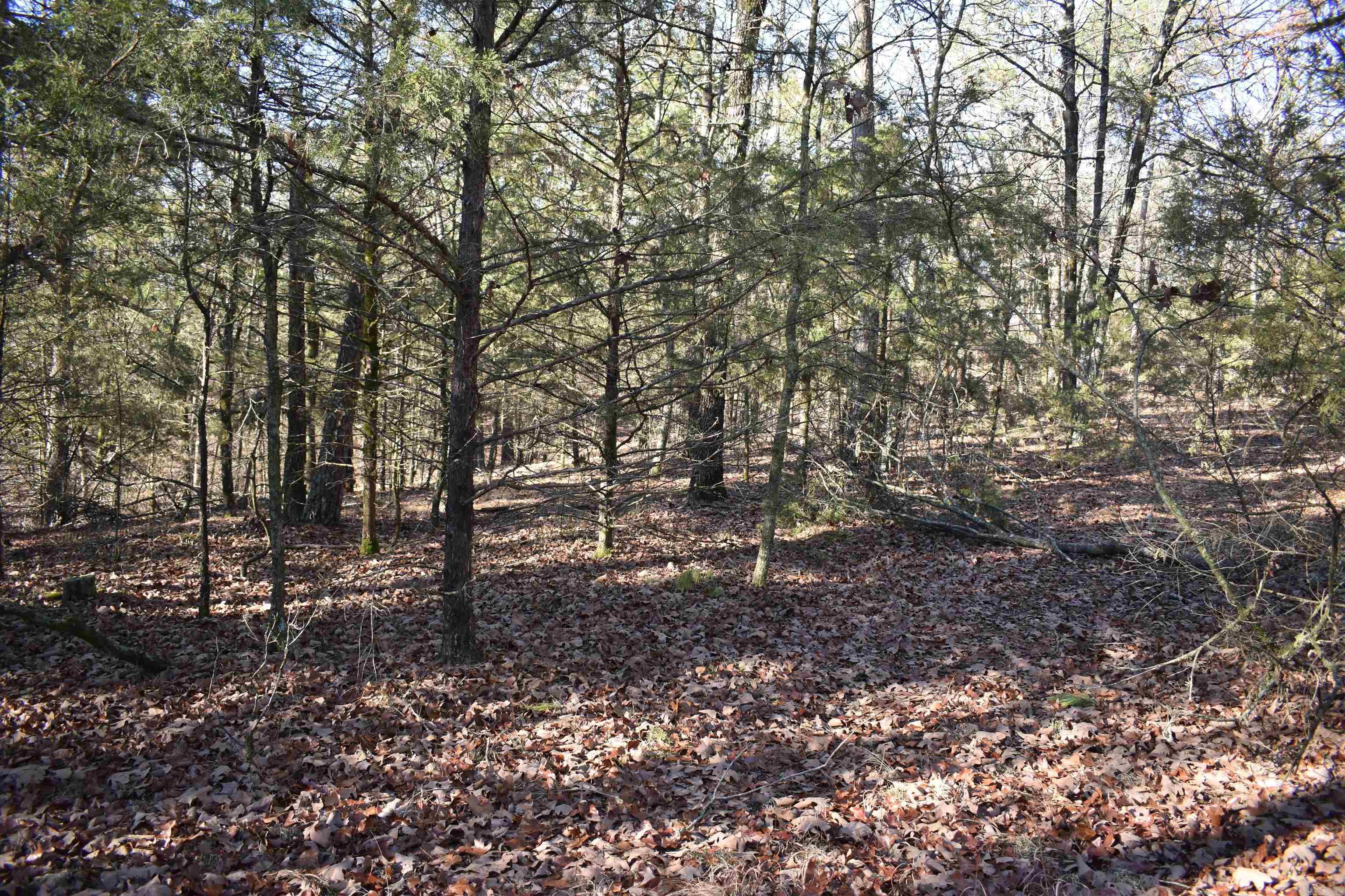 Metes & Bounds - Land