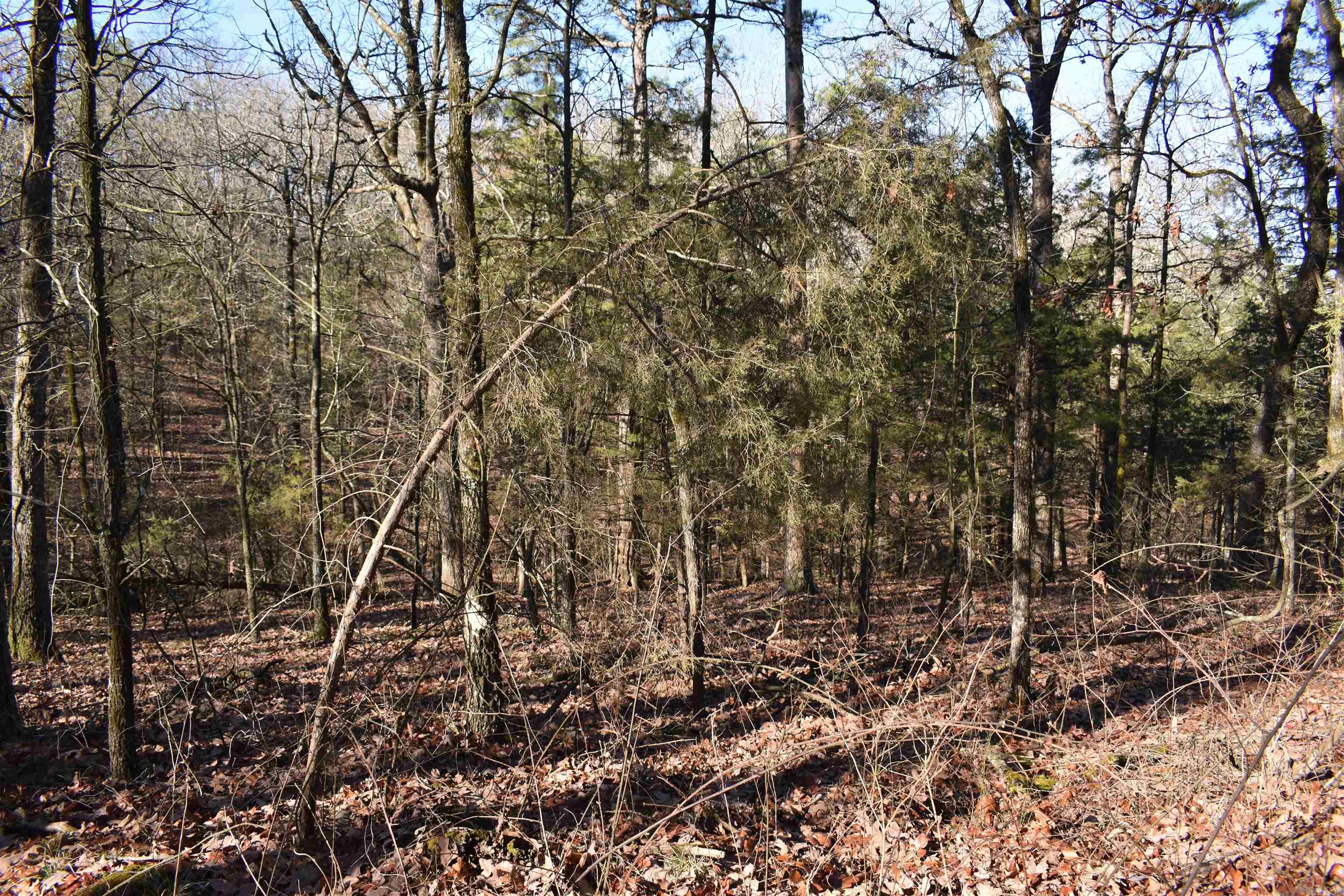 Metes & Bounds - Land