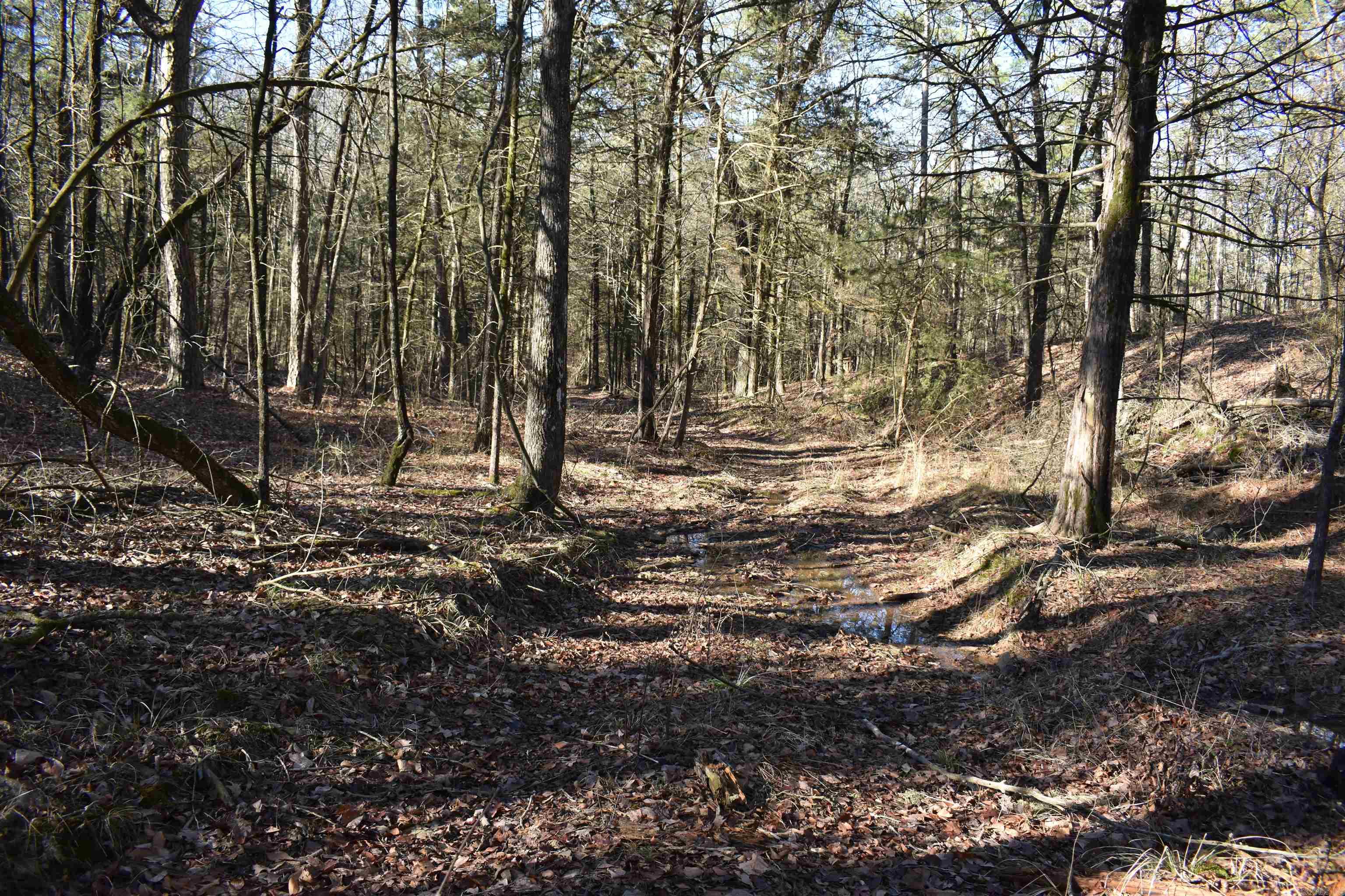 Metes & Bounds - Land