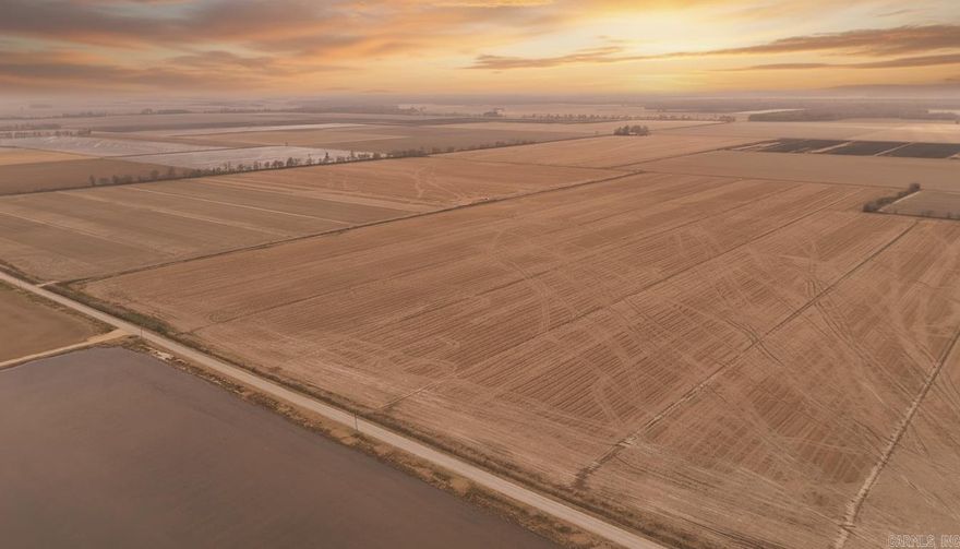 Absolute Online Only Estate Auction 227.24+/- Acres of Row Crop Farmland Offered in 5 Parcels - Buy One, any combination, or buy it all! One of the tracts includes a home and 1.08 acres +/-.  Parcel 1: 83.07+/- Acres, Parcel 2: Home on 1.08+/- Acres, Parcel 3: 48.09 +/- Acres, Parcel 4: 30+/- Acres, Parcel 5: 65+/- Acres. See documents for more information on tracts. Bid now thru Wednesday, January 14th, 2026 at 3PM. See agent remarks for more details about the auction. Please note: tax information does not reflect Parcel 2 the residential house.